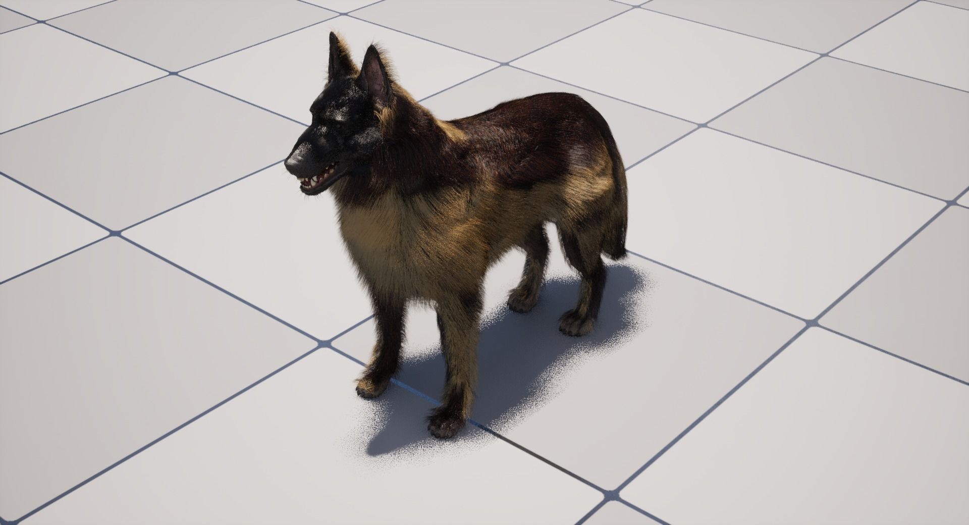 UE5 German Shepherd Dog with Groom Low-poly 3D model_19