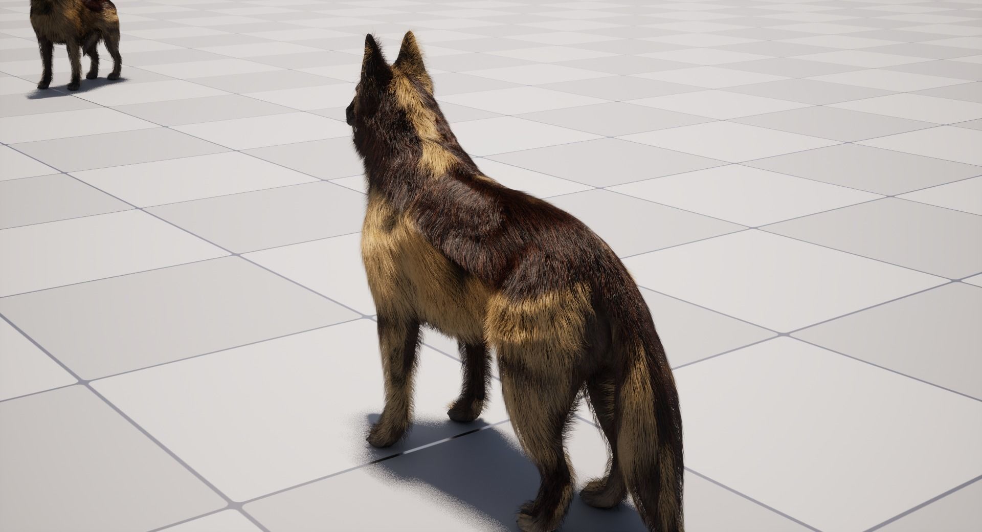 UE5 German Shepherd Dog with Groom Low-poly 3D model_21