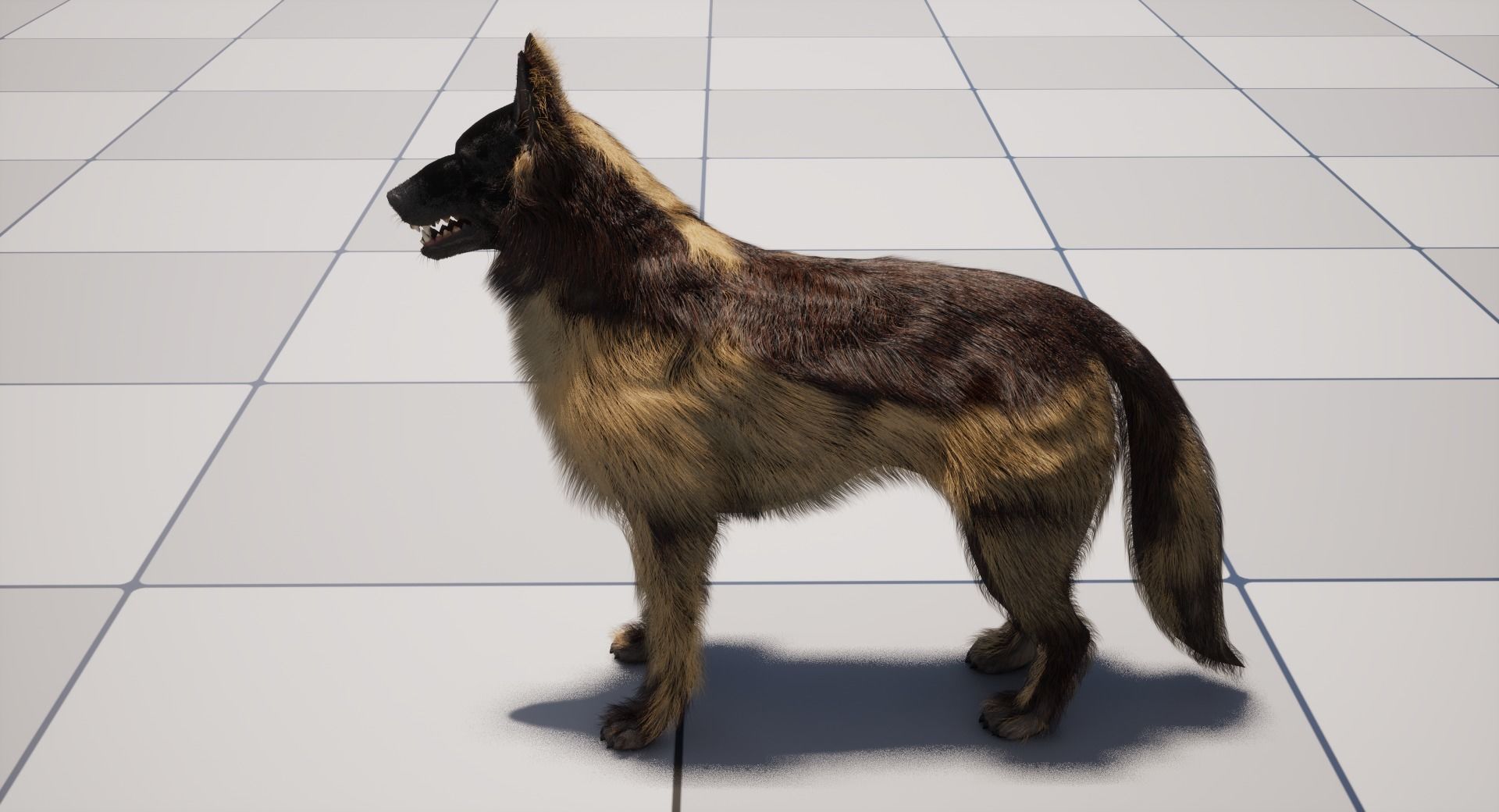 UE5 German Shepherd Dog with Groom Low-poly 3D model_20
