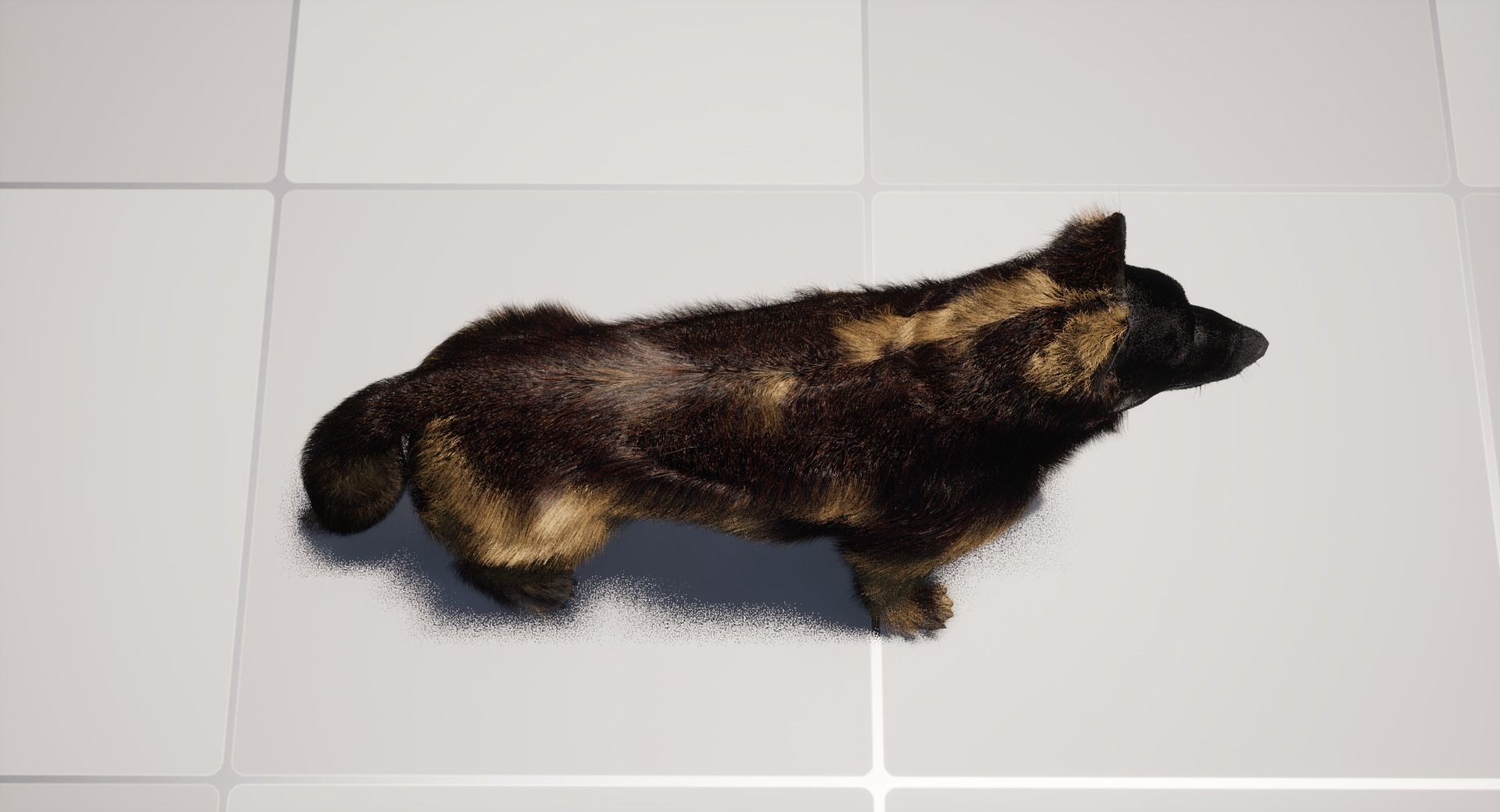 UE5 German Shepherd Dog with Groom Low-poly 3D model_23