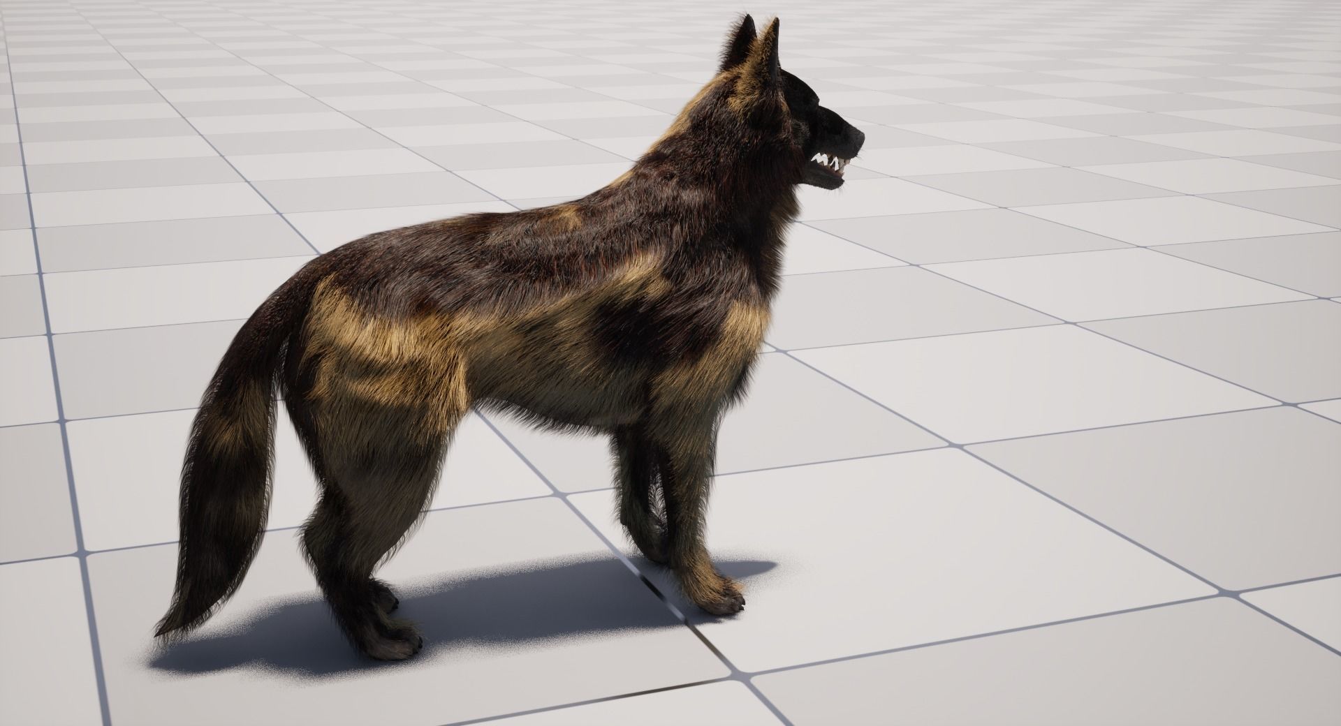 UE5 German Shepherd Dog with Groom Low-poly 3D model_22