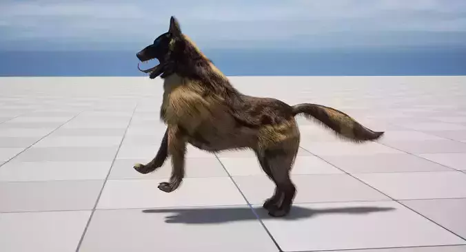 UE5 German Shepherd Dog with Groom Low-poly 3D model