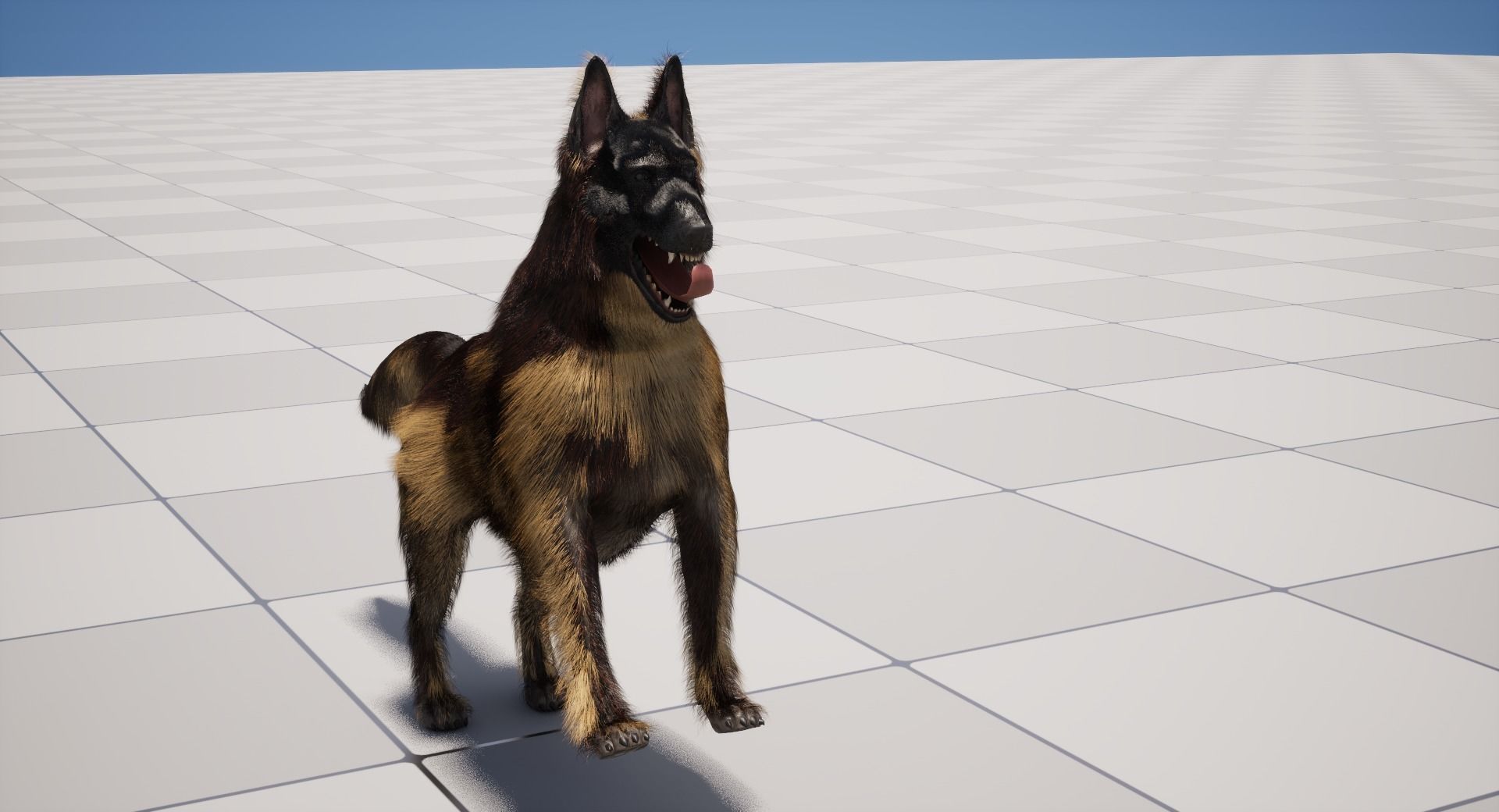 UE5 German Shepherd Dog with Groom Low-poly 3D model_16