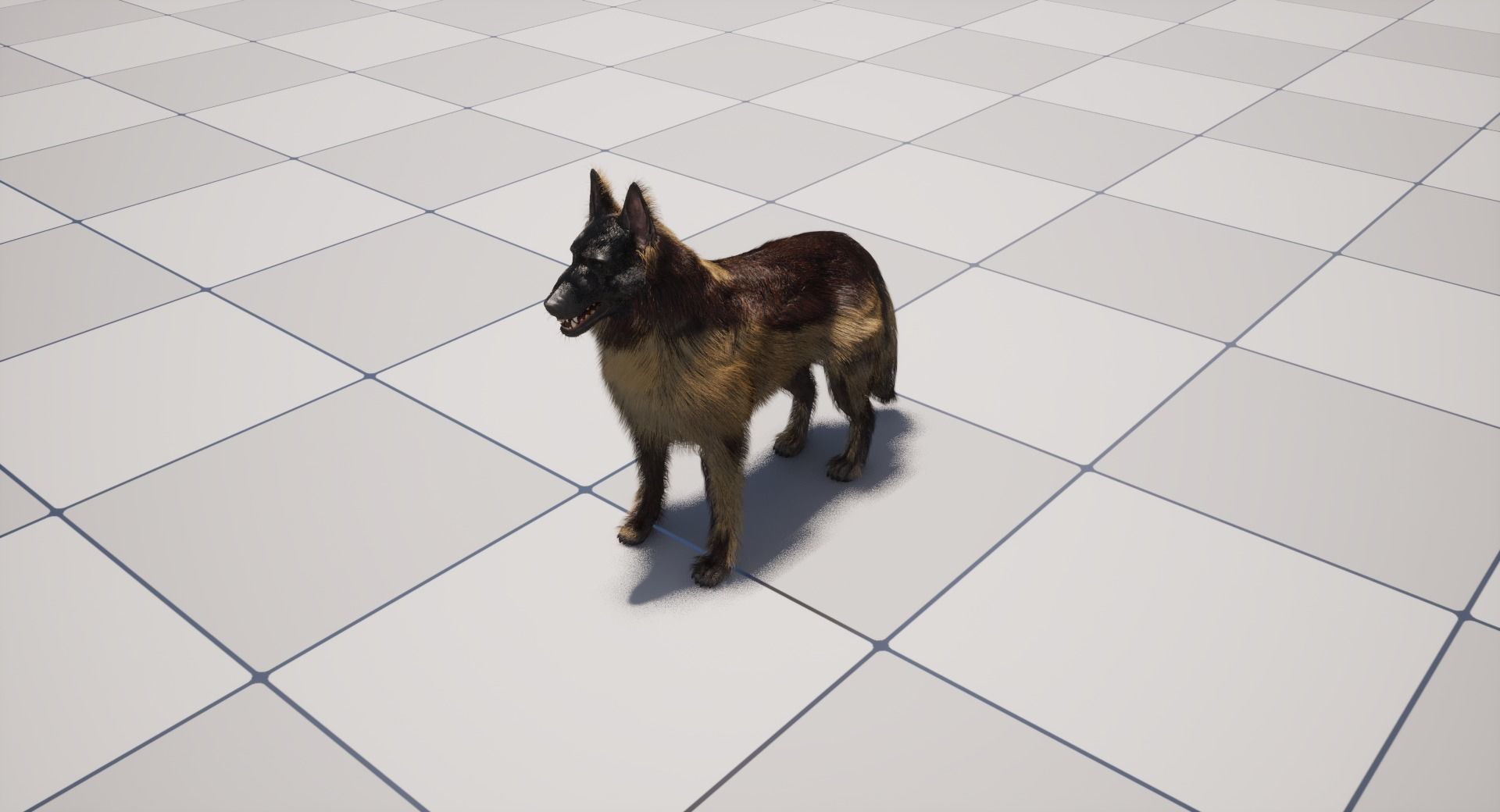 UE5 German Shepherd Dog with Groom Low-poly 3D model_18