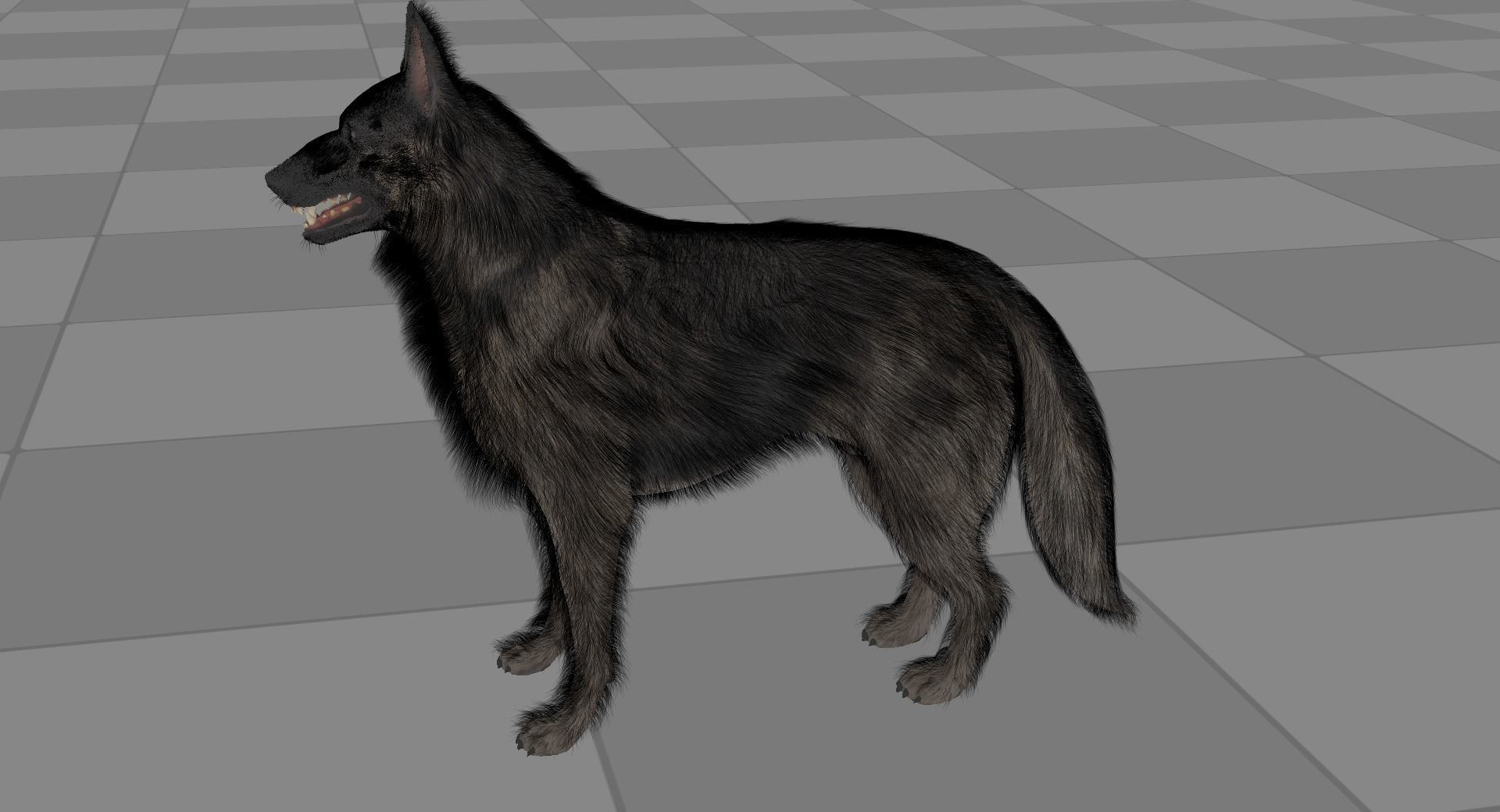 UE5 German Shepherd Dog with Groom Low-poly 3D model_25