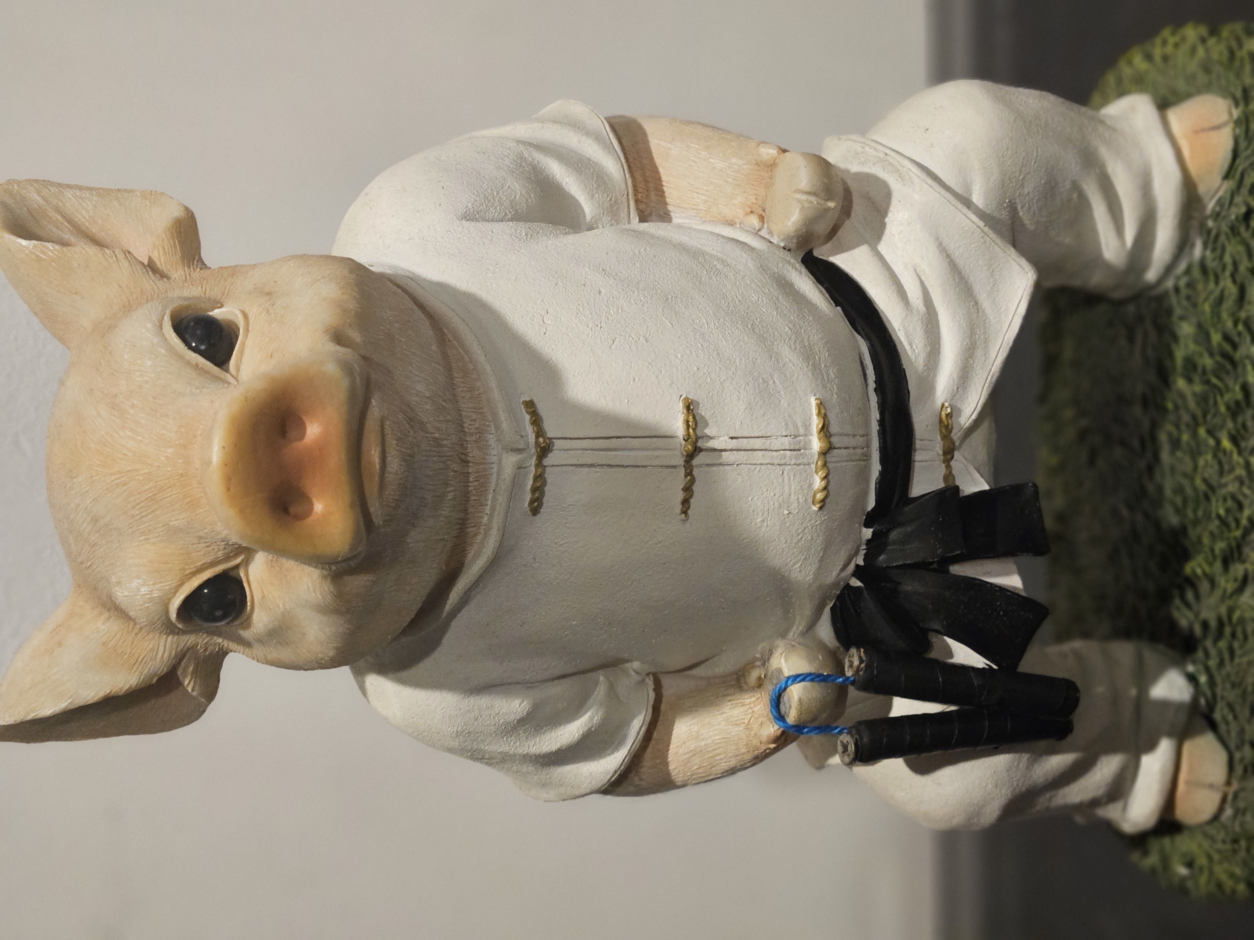 Kung Fu Pig 3D print model_0