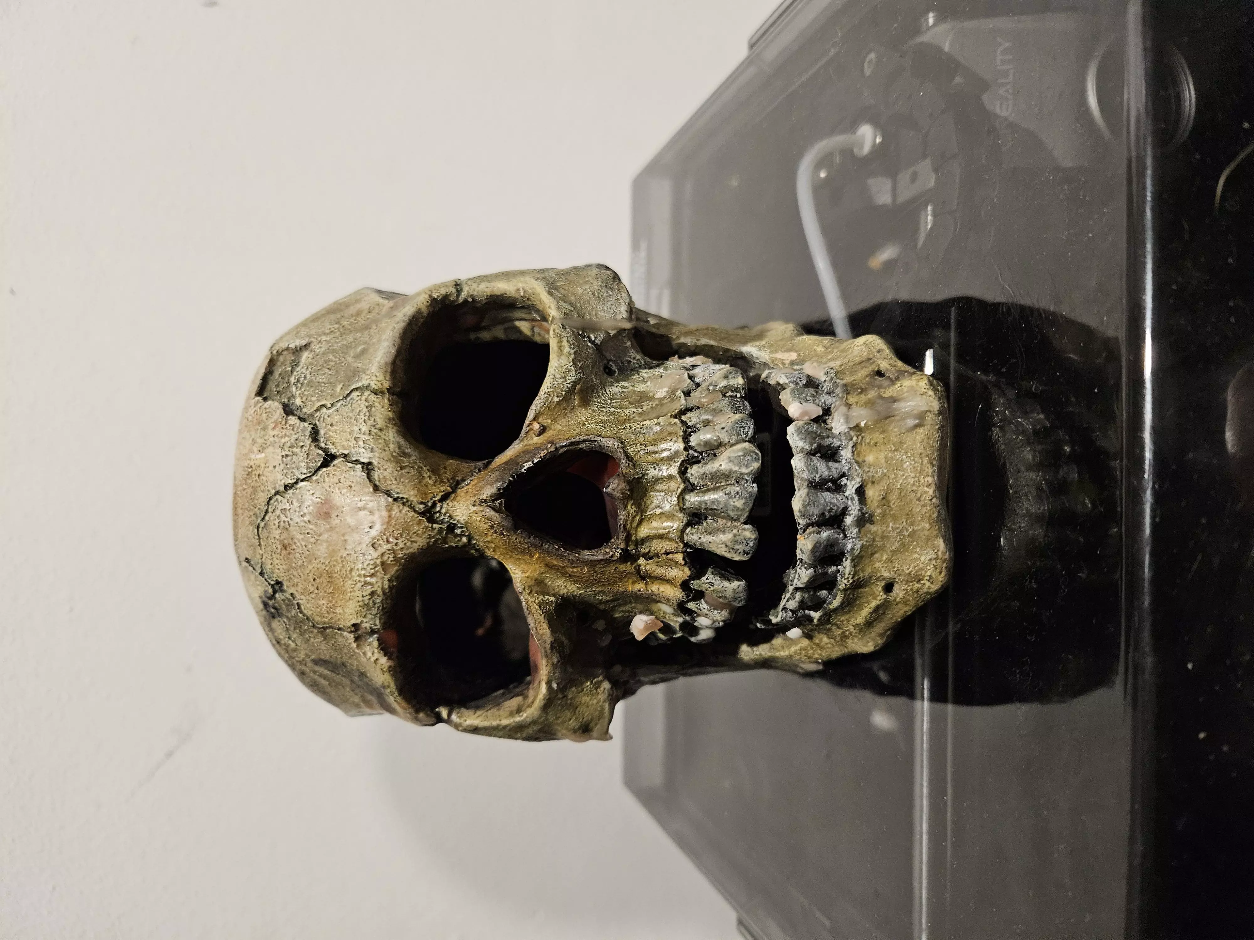 Victims Skull 3D print model_0