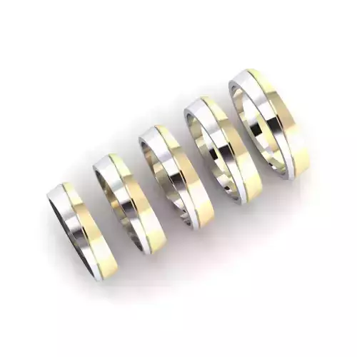 Two tone ring 3D print model