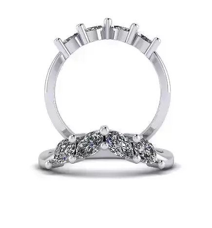 Ring Model 5951