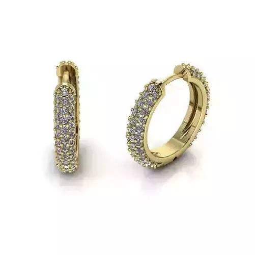 Earrings Model 5902