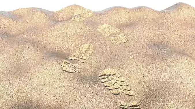 Shoeprints On The Sand