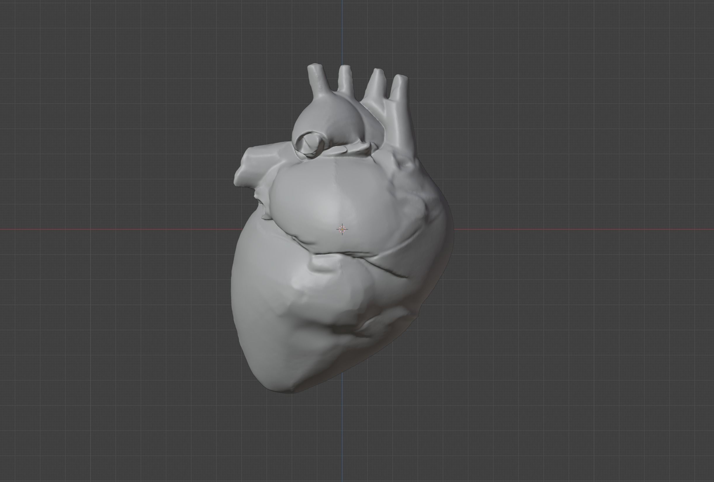Anatomical Heart 3D model_7