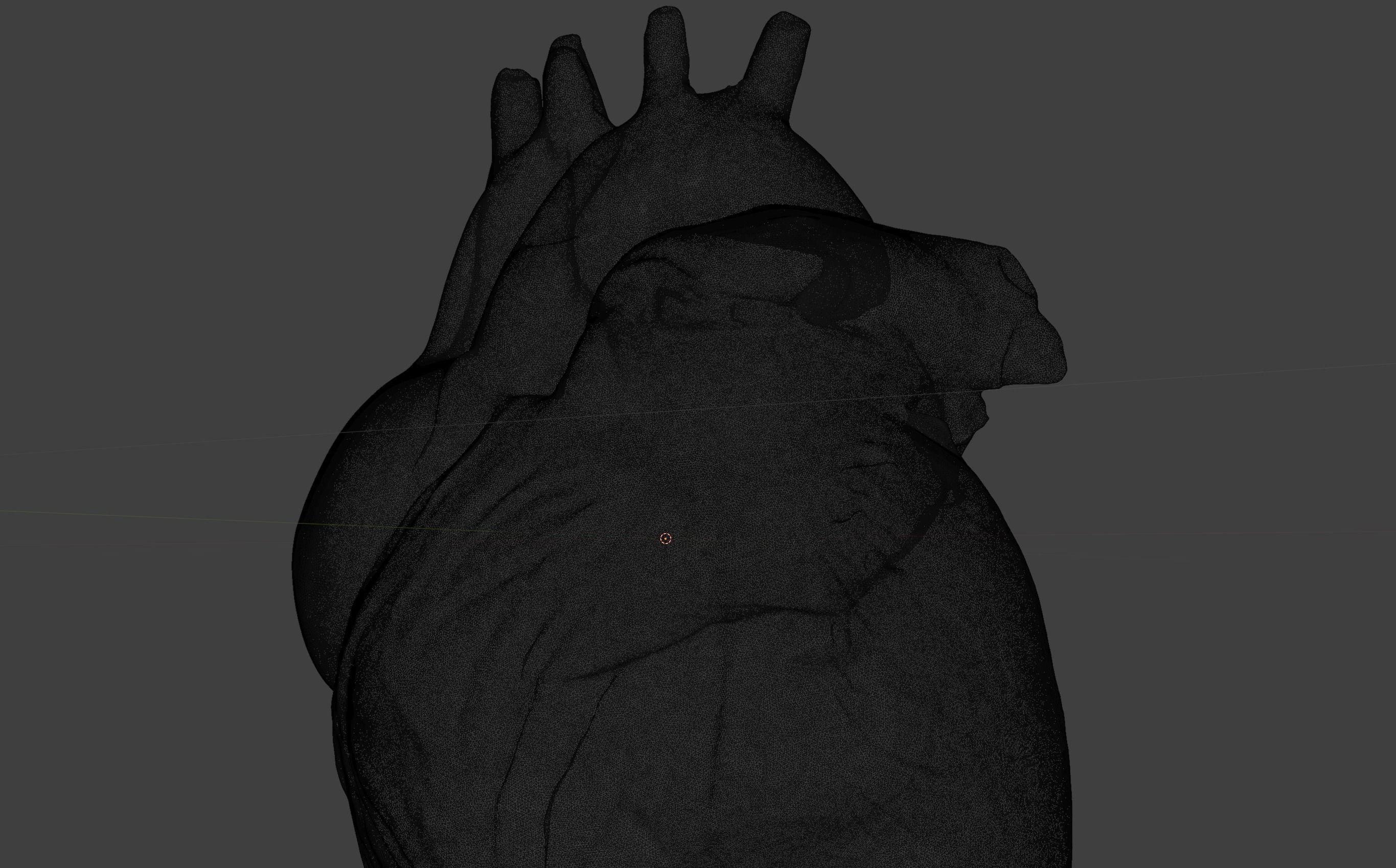 Anatomical Heart 3D model_8
