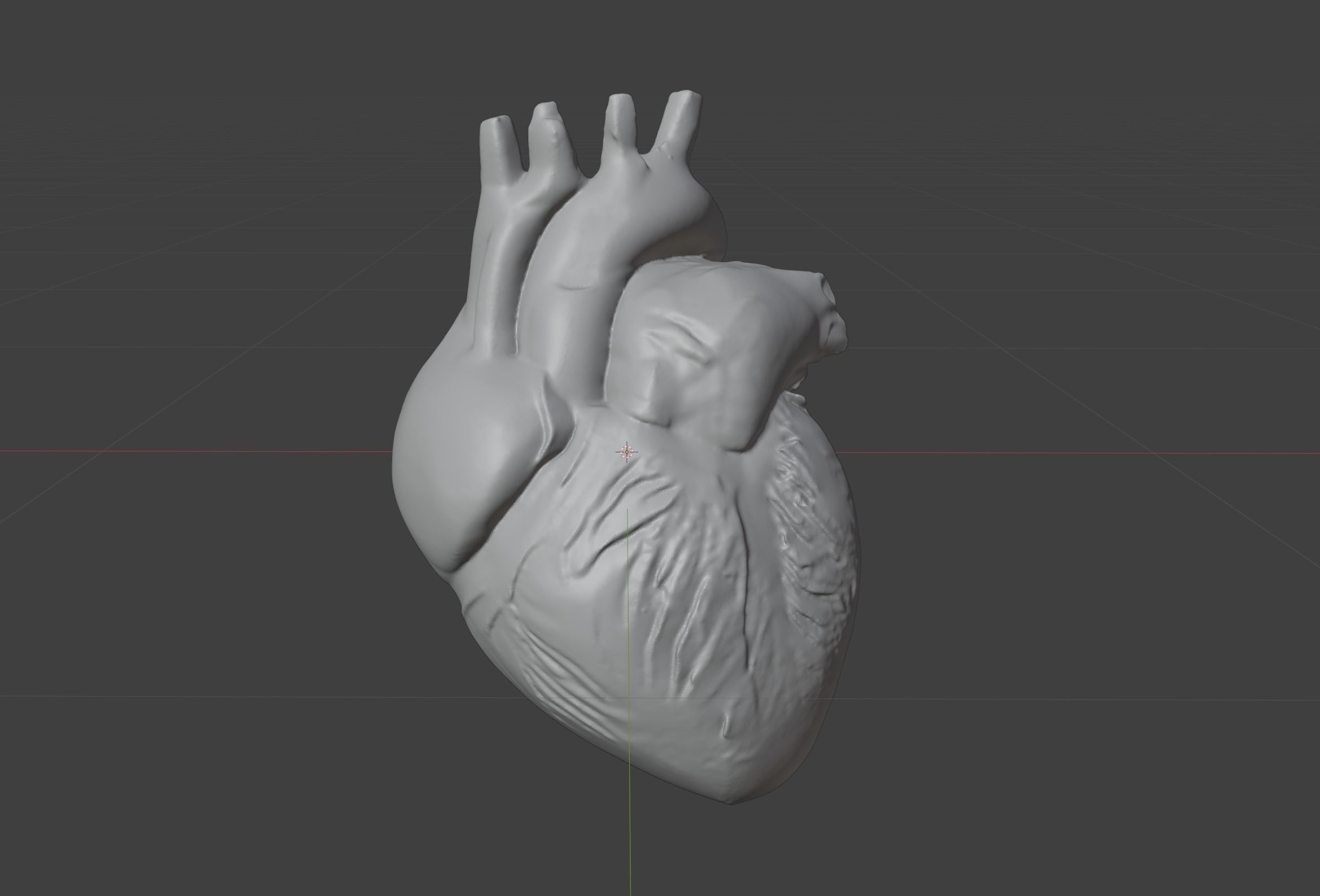Anatomical Heart 3D model_6