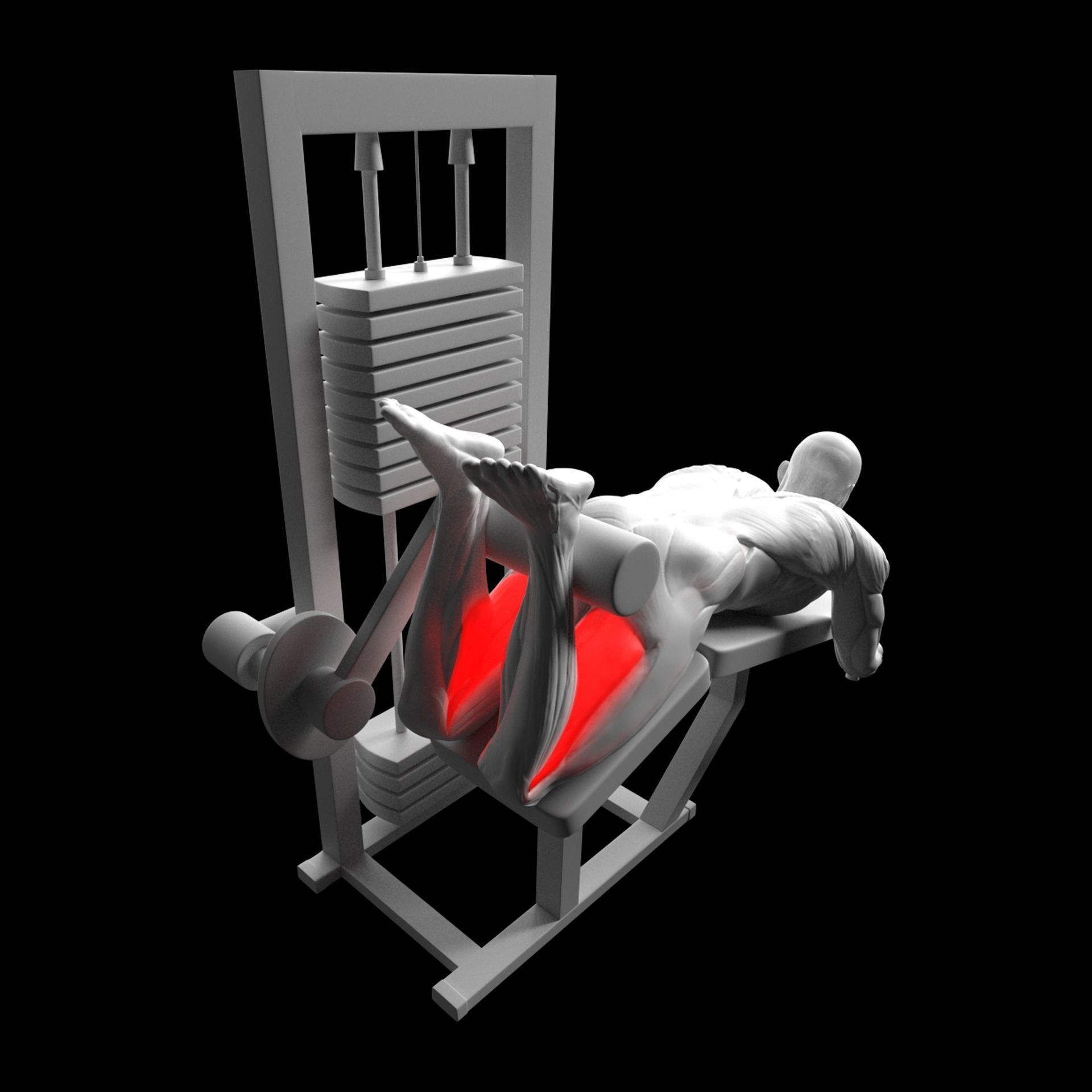 Gym Exercise Animations Pack 3D model_43