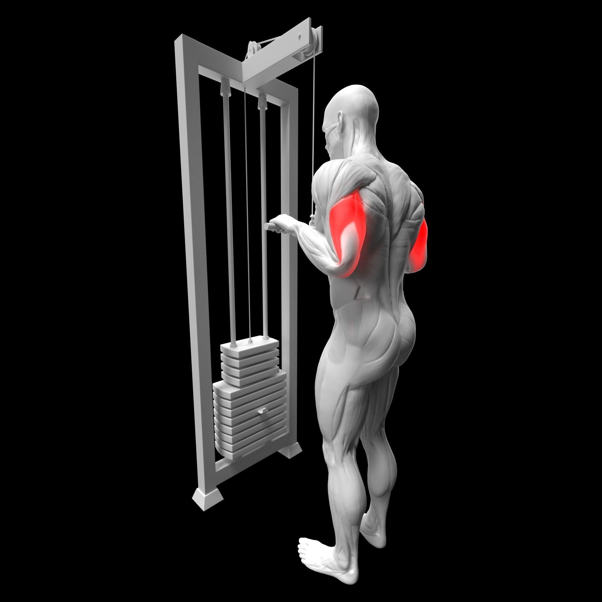 Gym Exercise Animations Pack 3D model_36