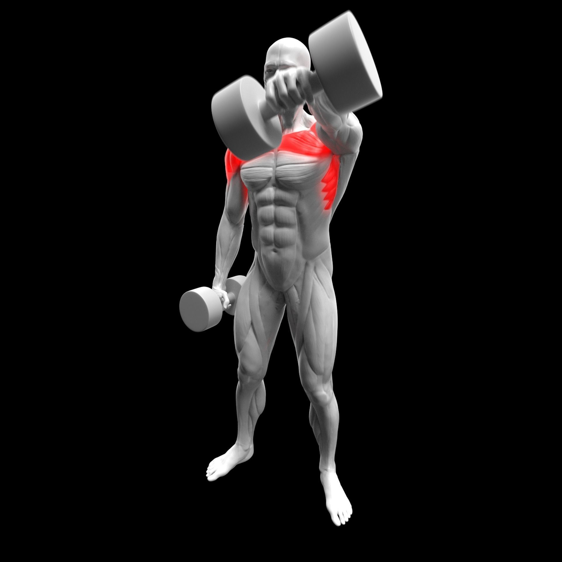 Gym Exercise Animations Pack 3D model_66