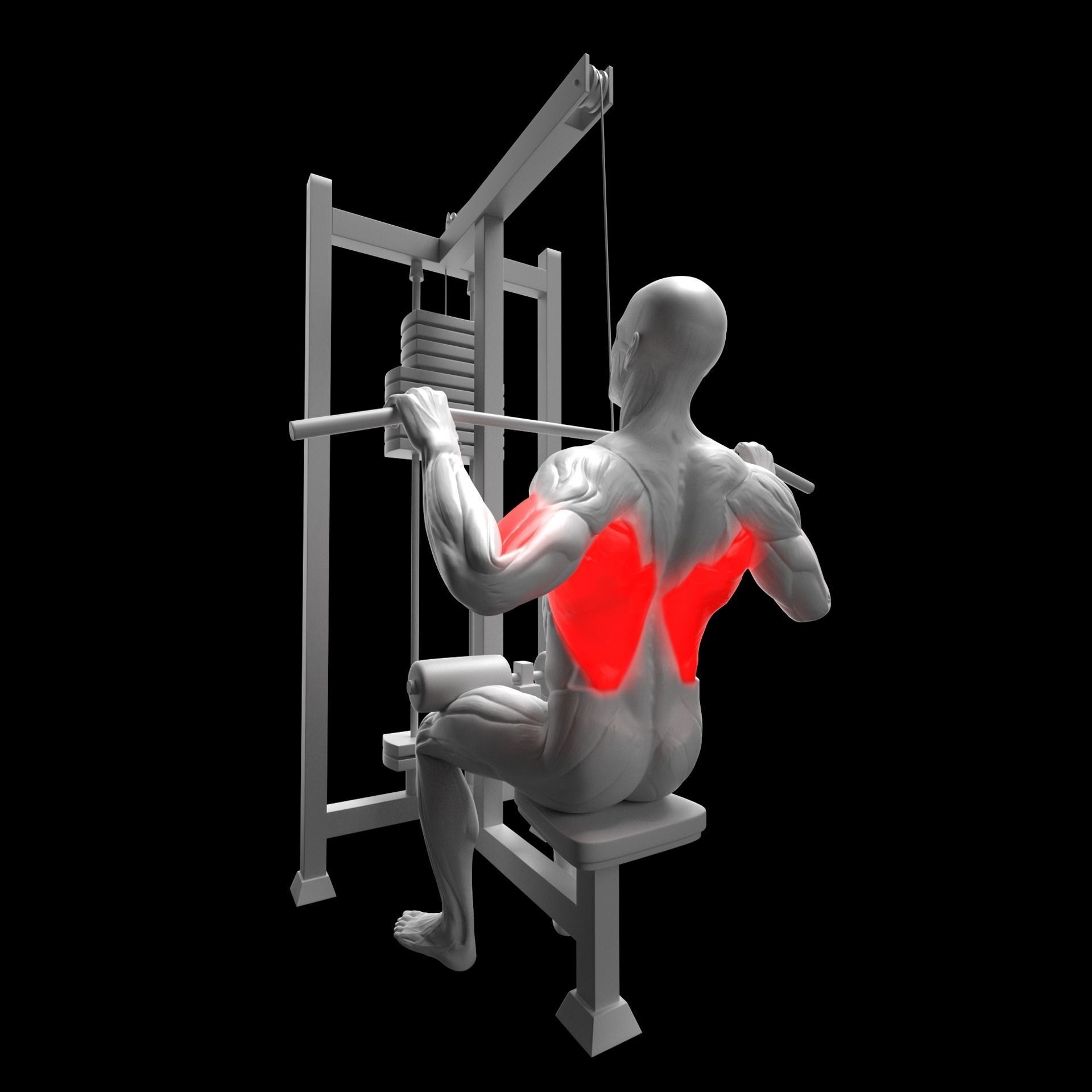 Gym Exercise Animations Pack 3D model_51