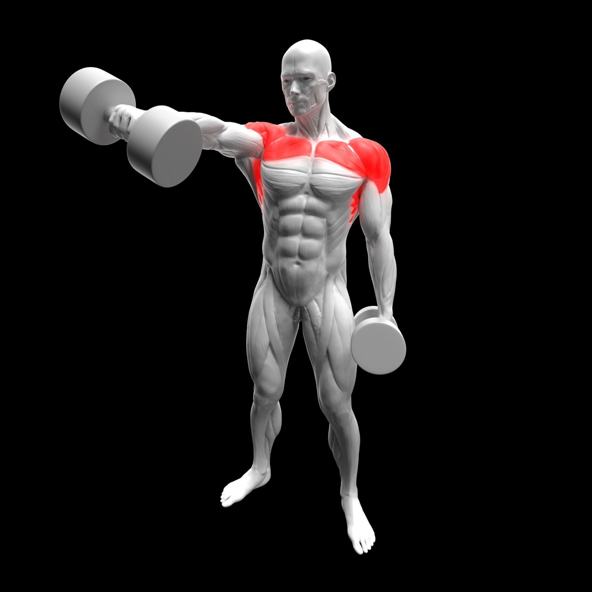 Gym Exercise Animations Pack 3D model_65