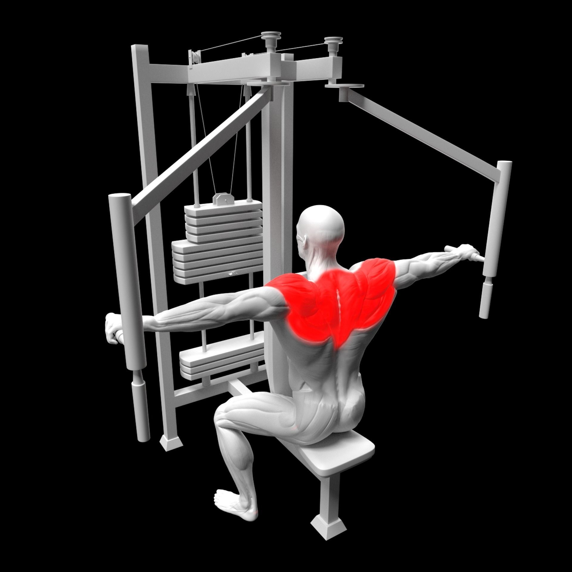 Gym Exercise Animations Pack 3D model_70