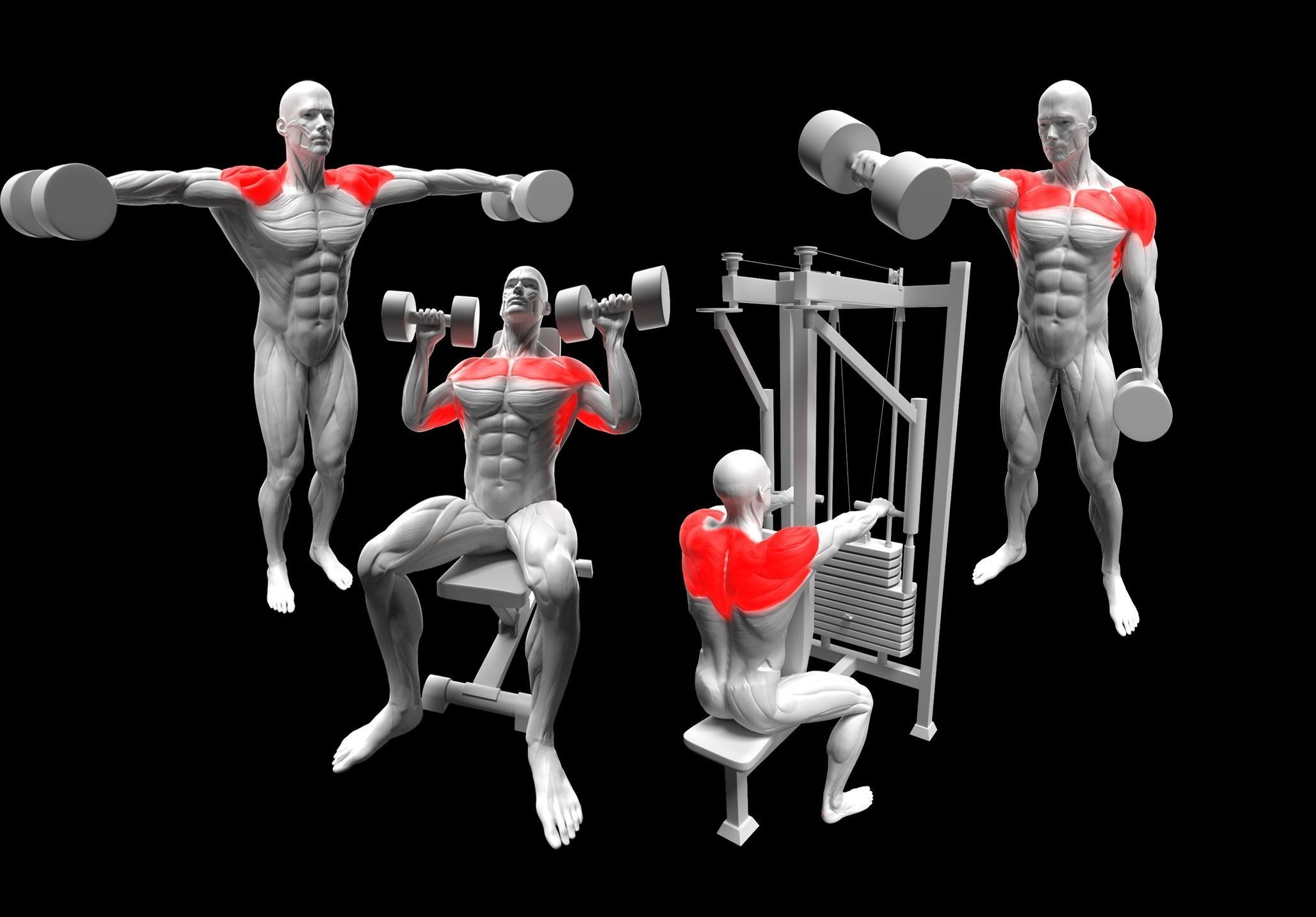 Gym Exercise Animations Pack 3D model_29