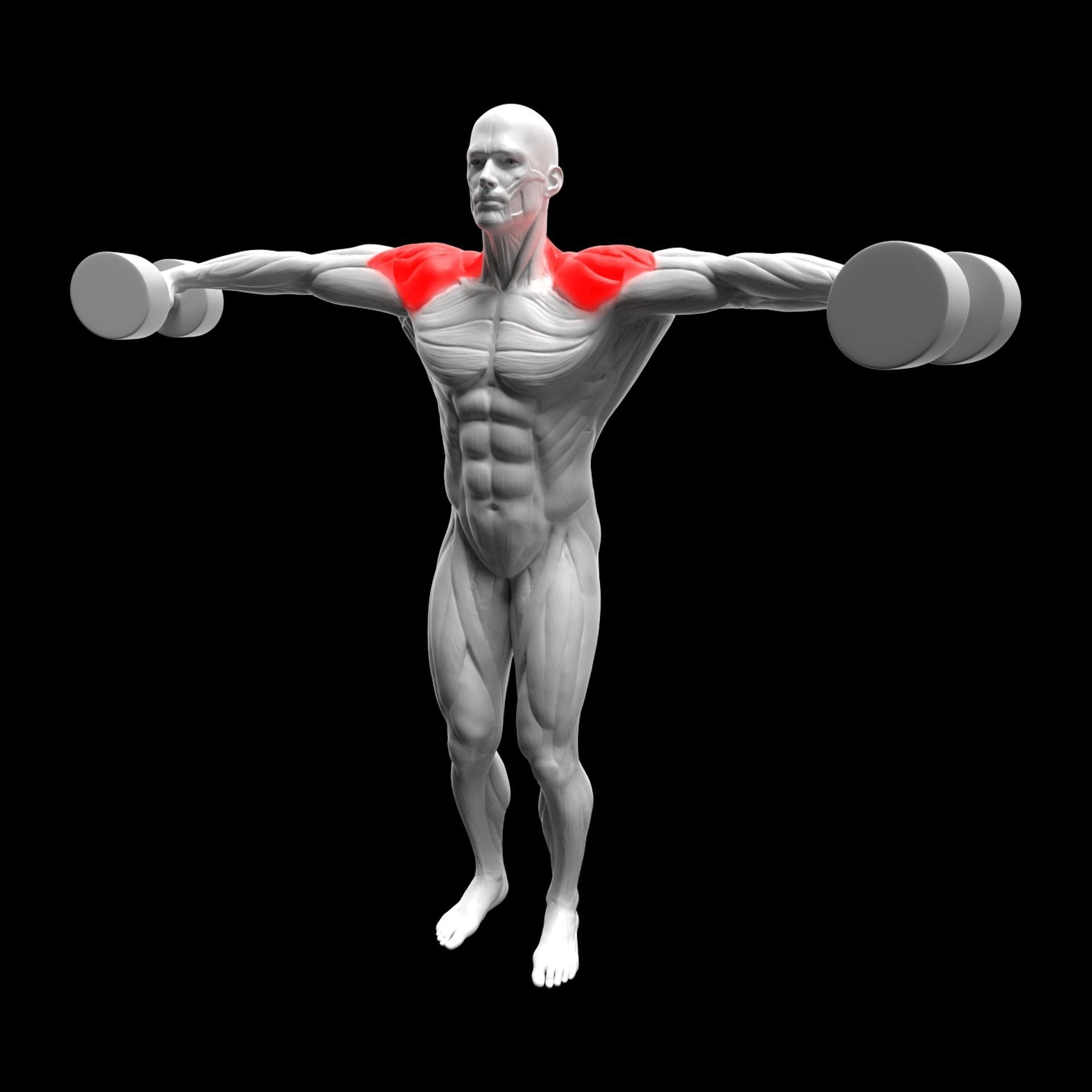 Gym Exercise Animations Pack 3D model_68