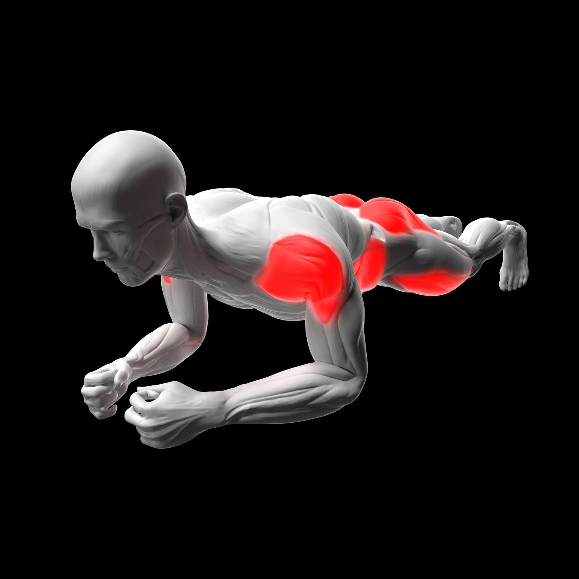 Gym Exercise Animations Pack 3D model_79