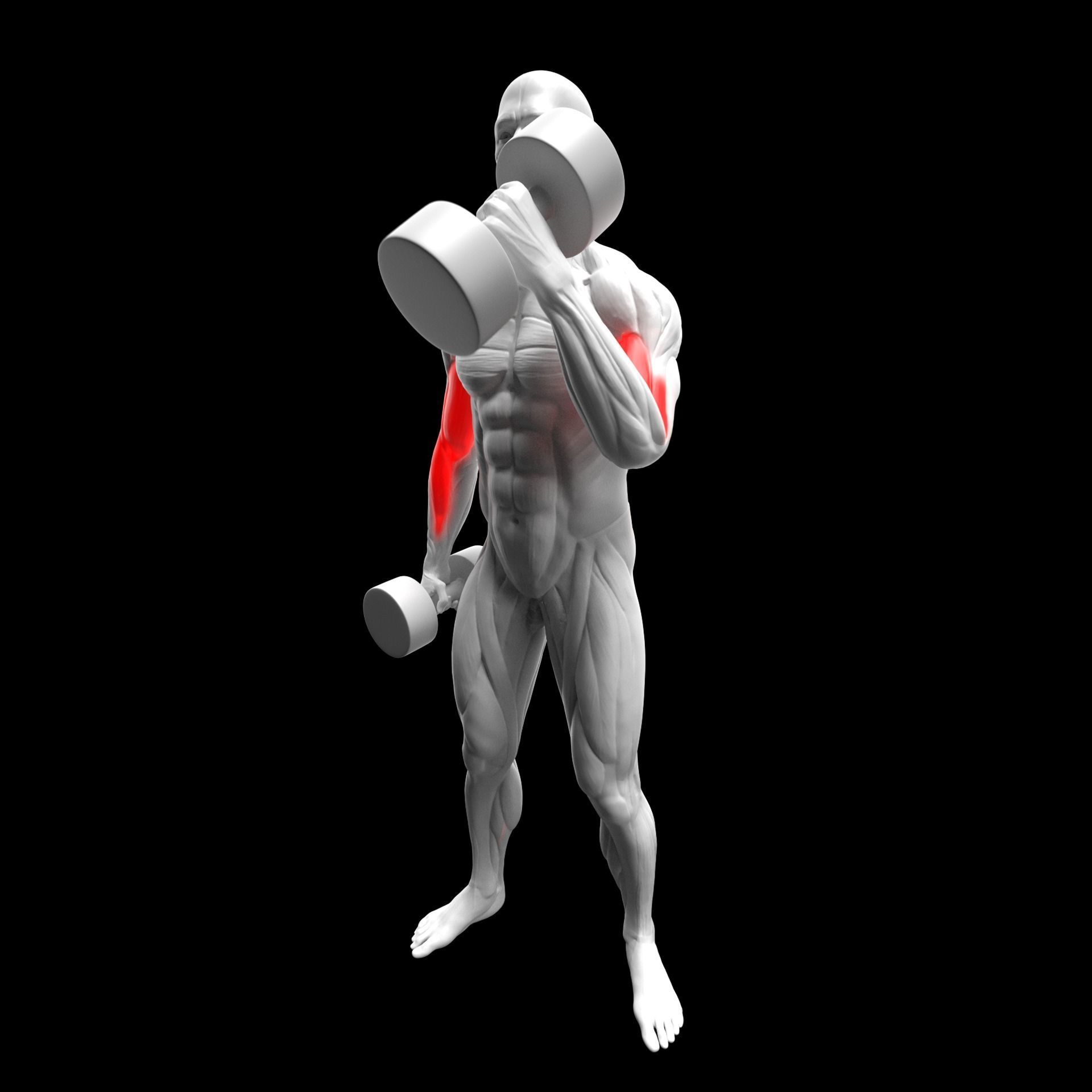 Gym Exercise Animations Pack 3D model_35