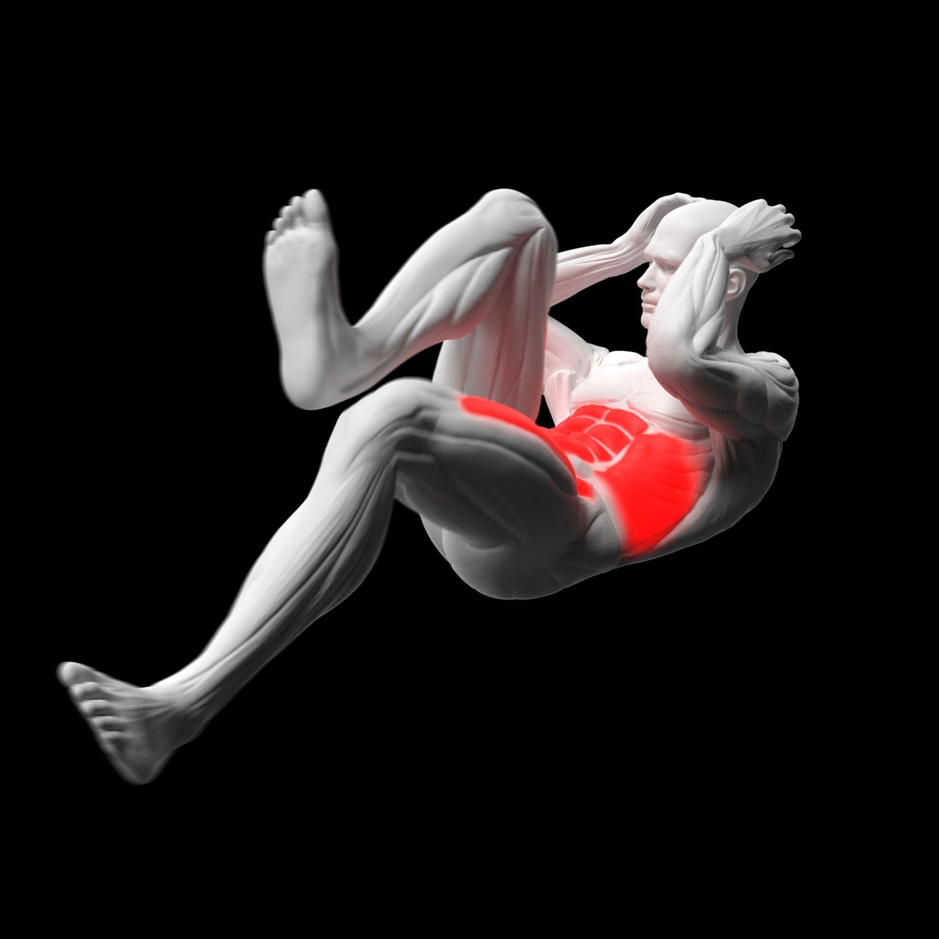 Gym Exercise Animations Pack 3D model_73