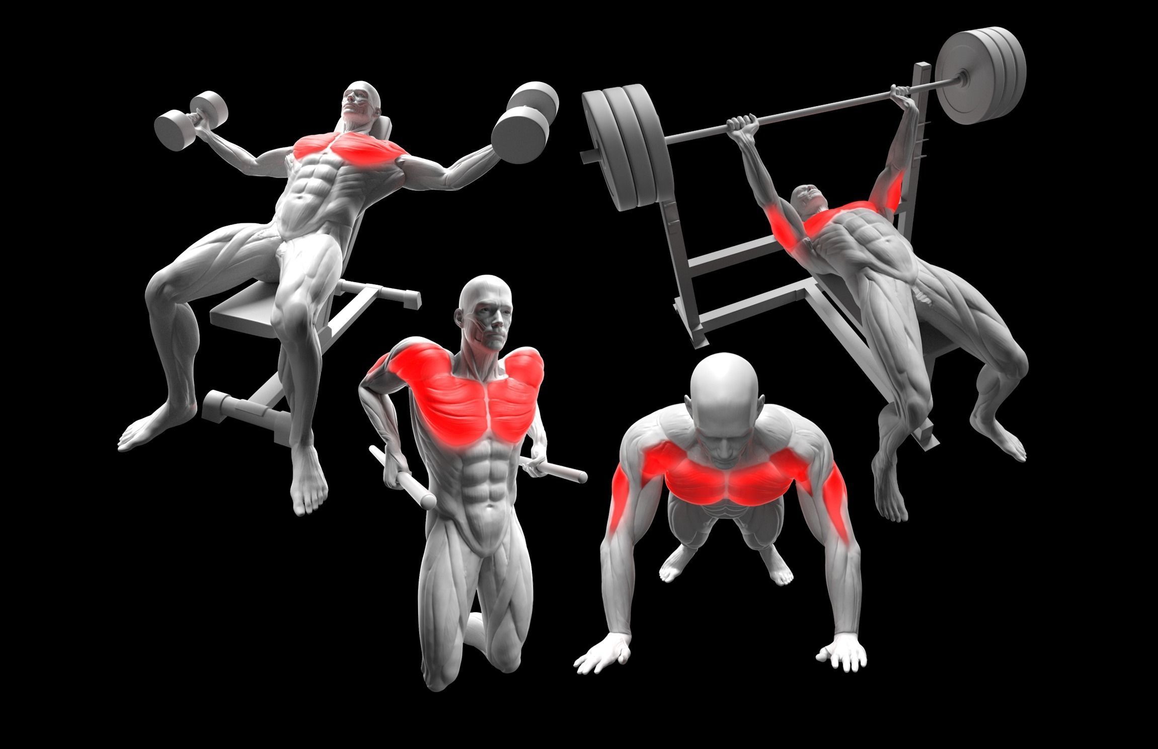Gym Exercise Animations Pack 3D model_28
