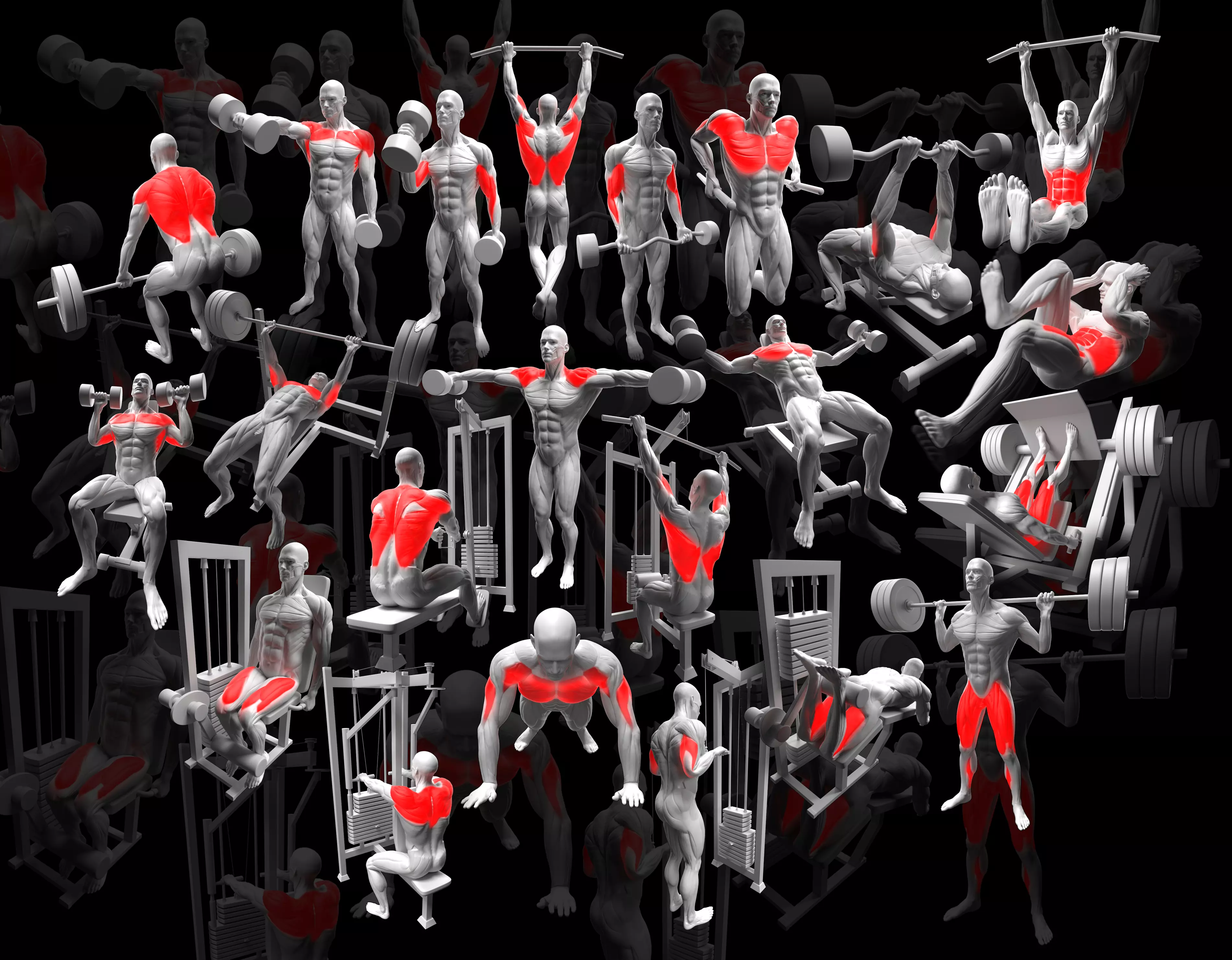 Gym Exercise Animations Pack 3D model_0