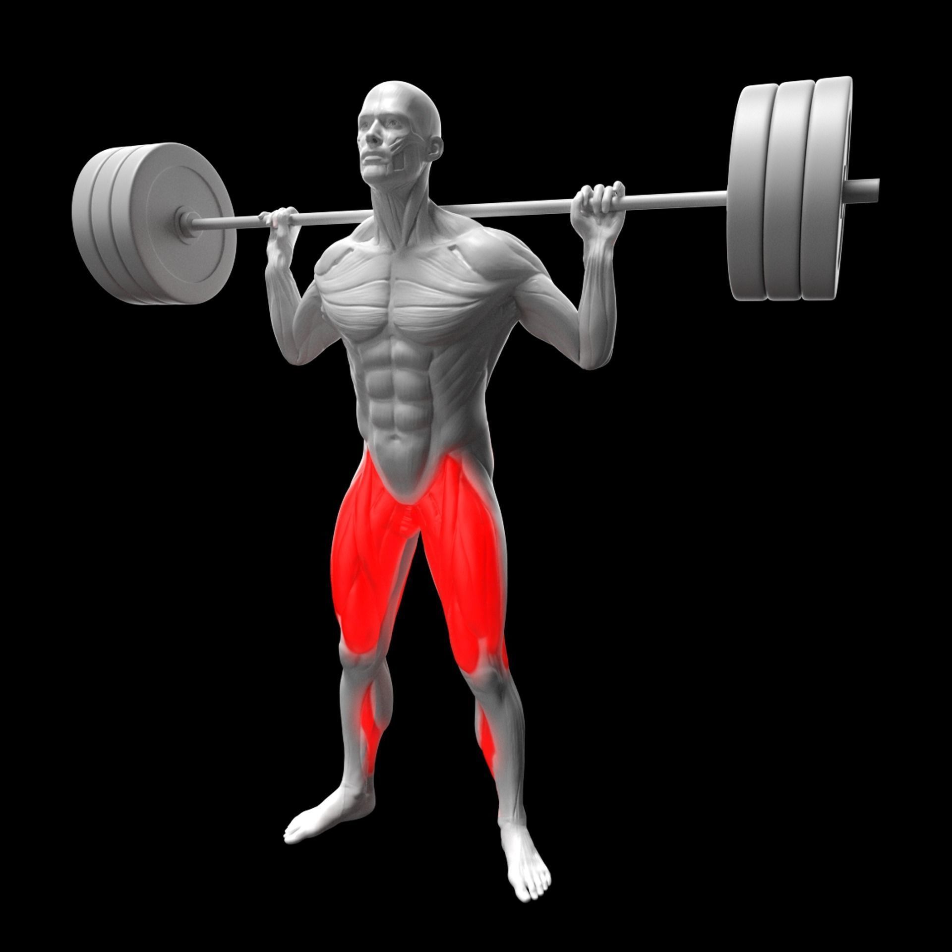 Gym Exercise Animations Pack 3D model_46