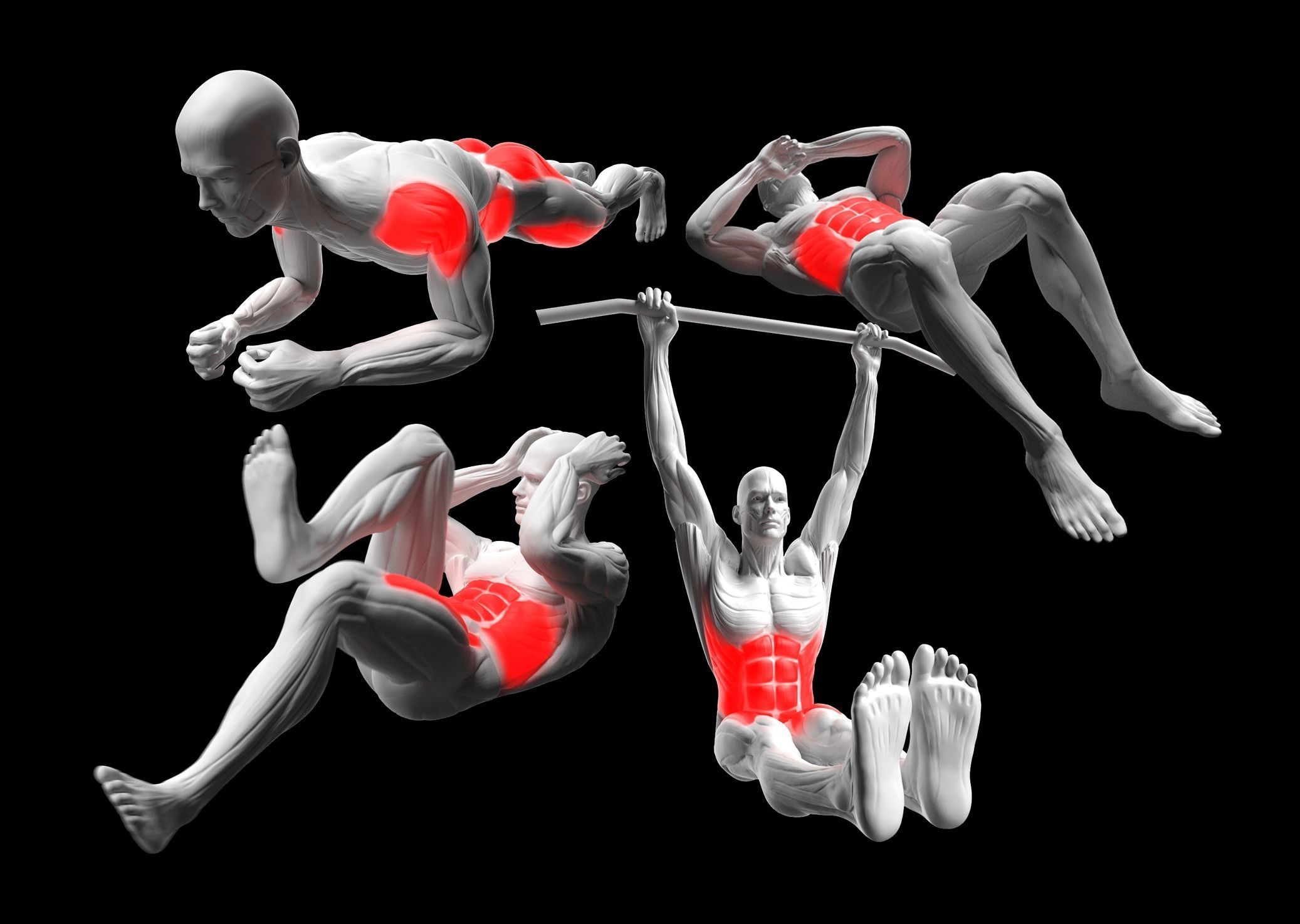 Gym Exercise Animations Pack 3D model_30