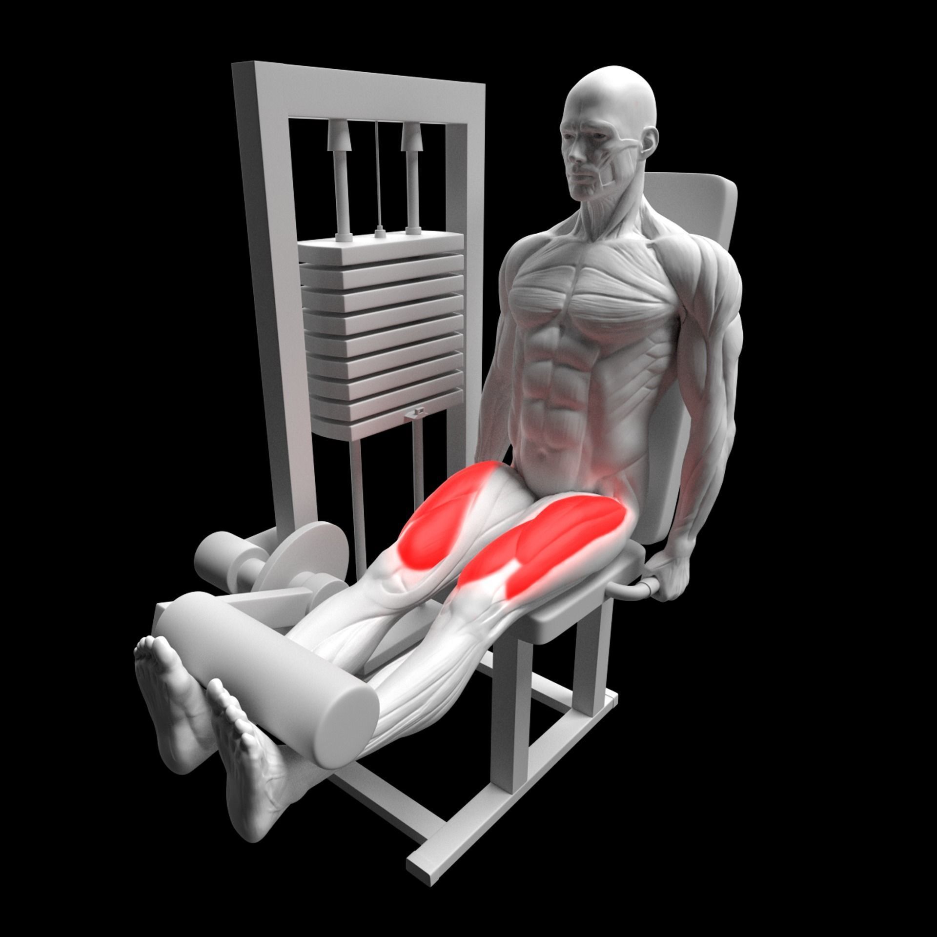 Gym Exercise Animations Pack 3D model_41