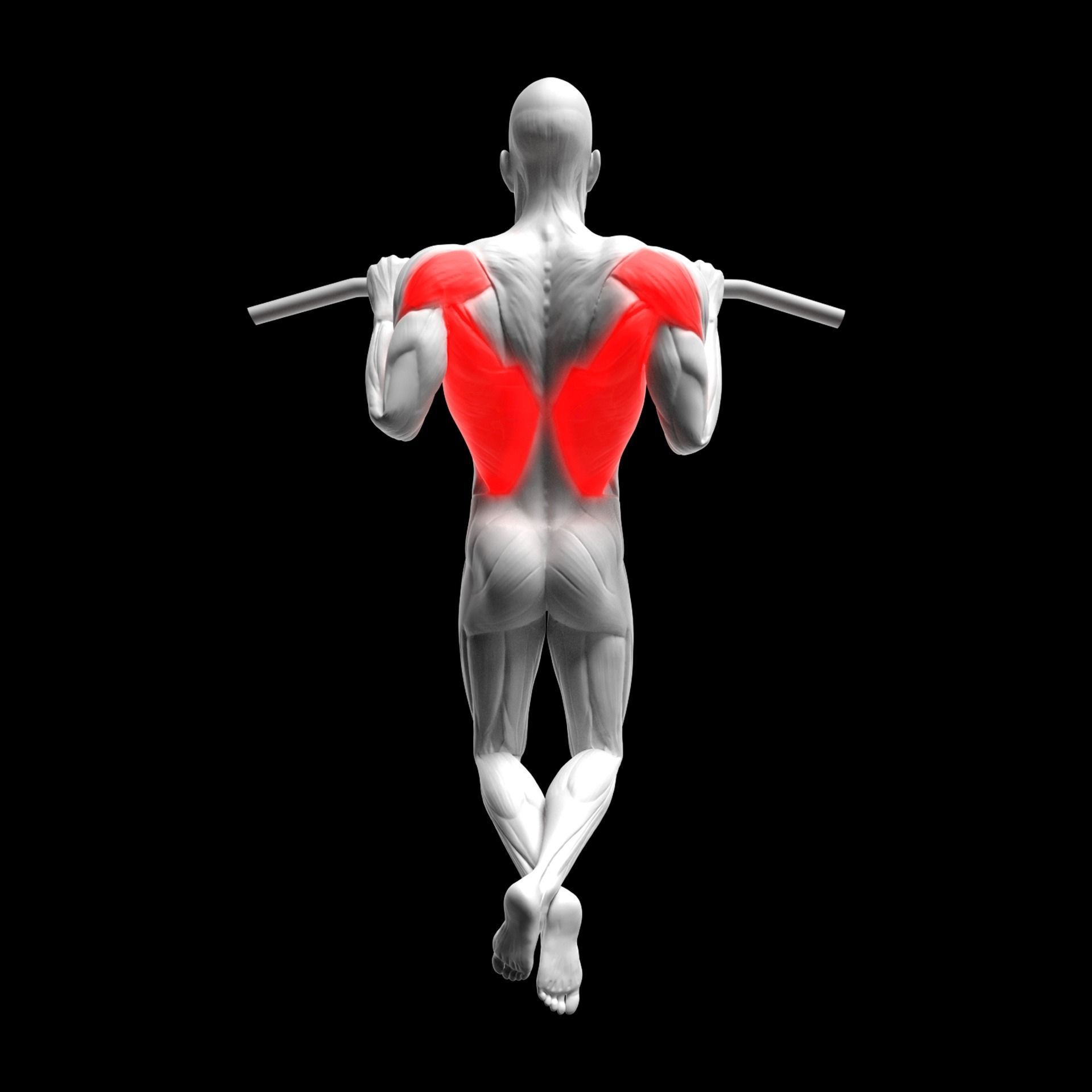 Gym Exercise Animations Pack 3D model_49