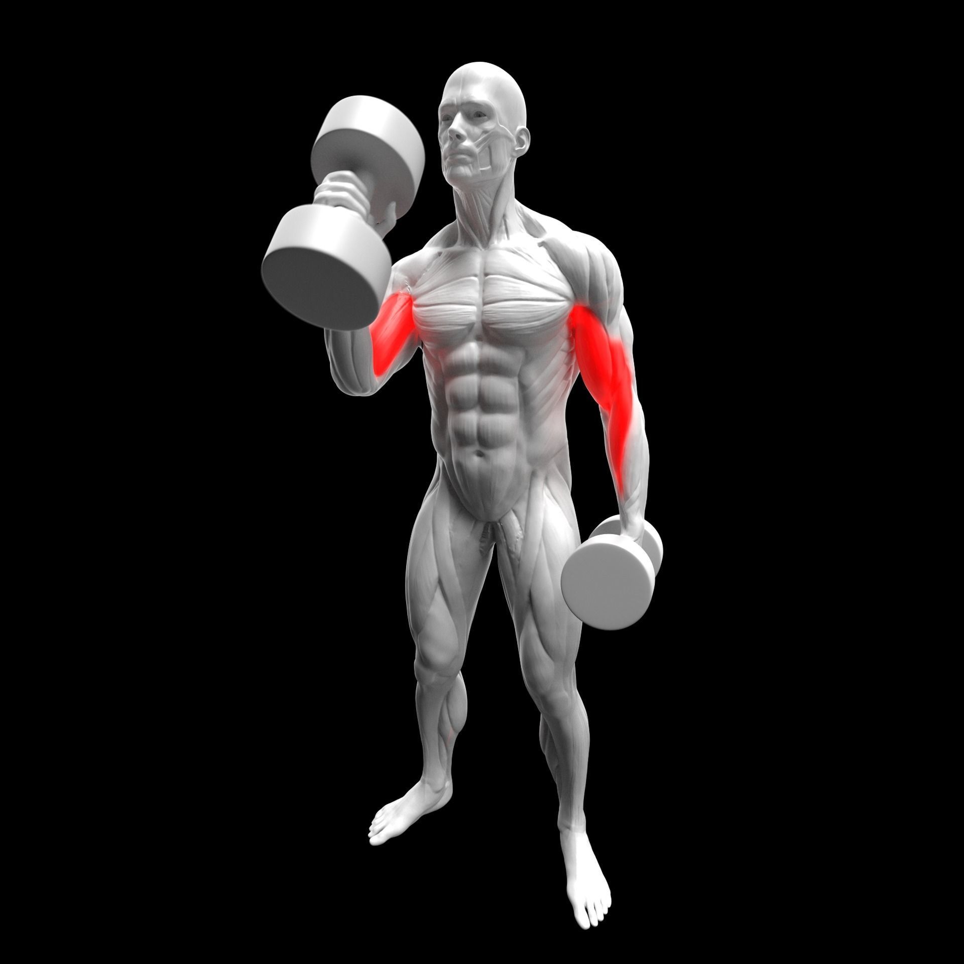 Gym Exercise Animations Pack 3D model_34