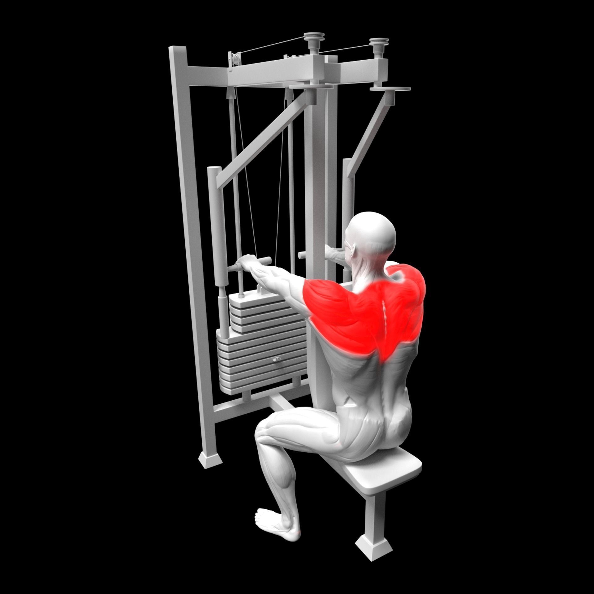 Gym Exercise Animations Pack 3D model_69