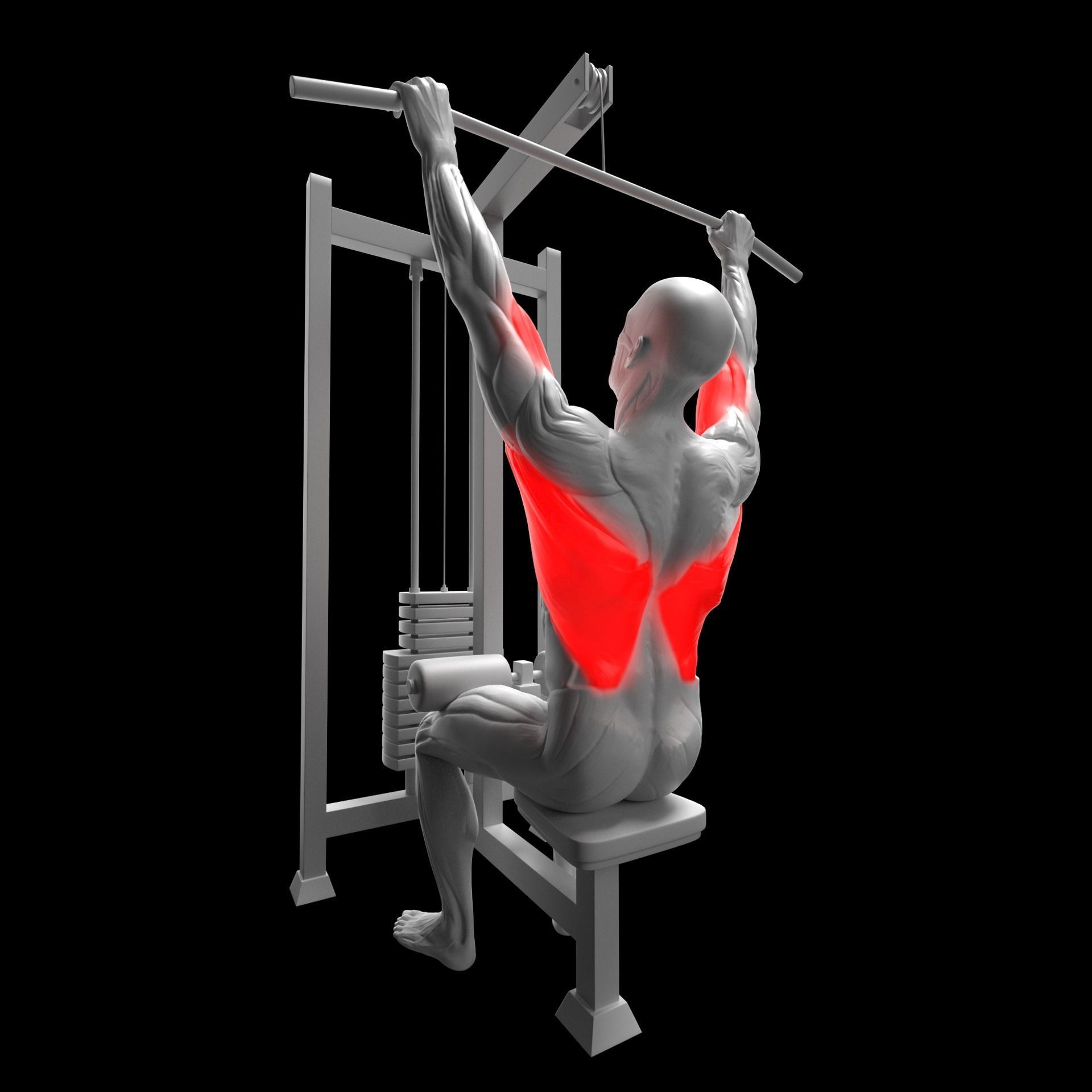 Gym Exercise Animations Pack 3D model_50