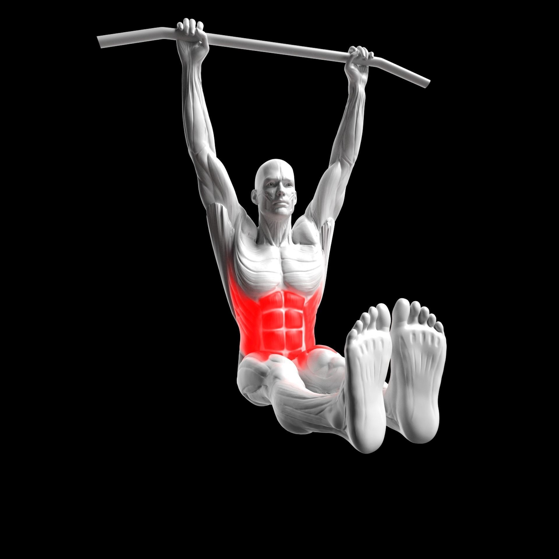 Gym Exercise Animations Pack 3D model_78