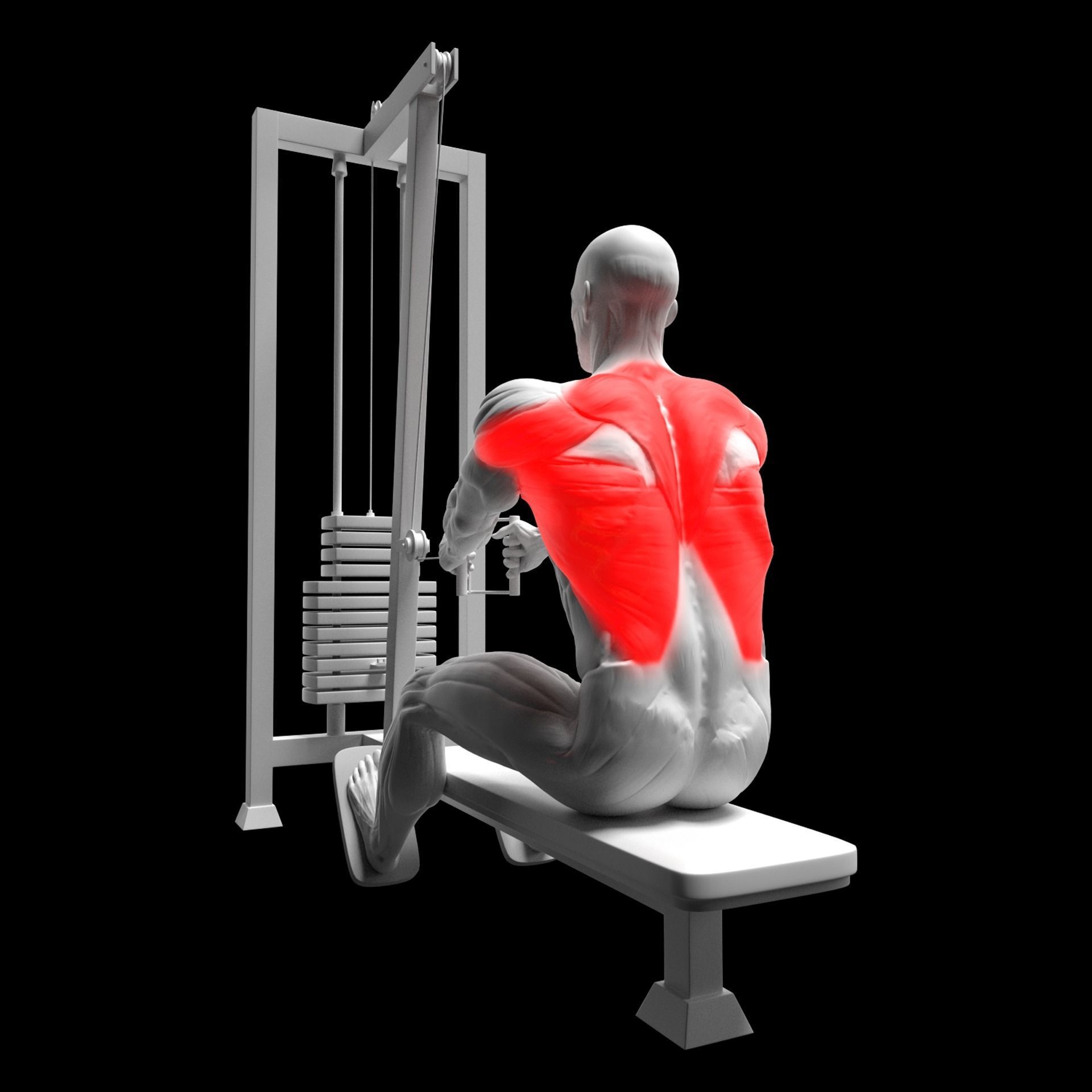 Gym Exercise Animations Pack 3D model_52