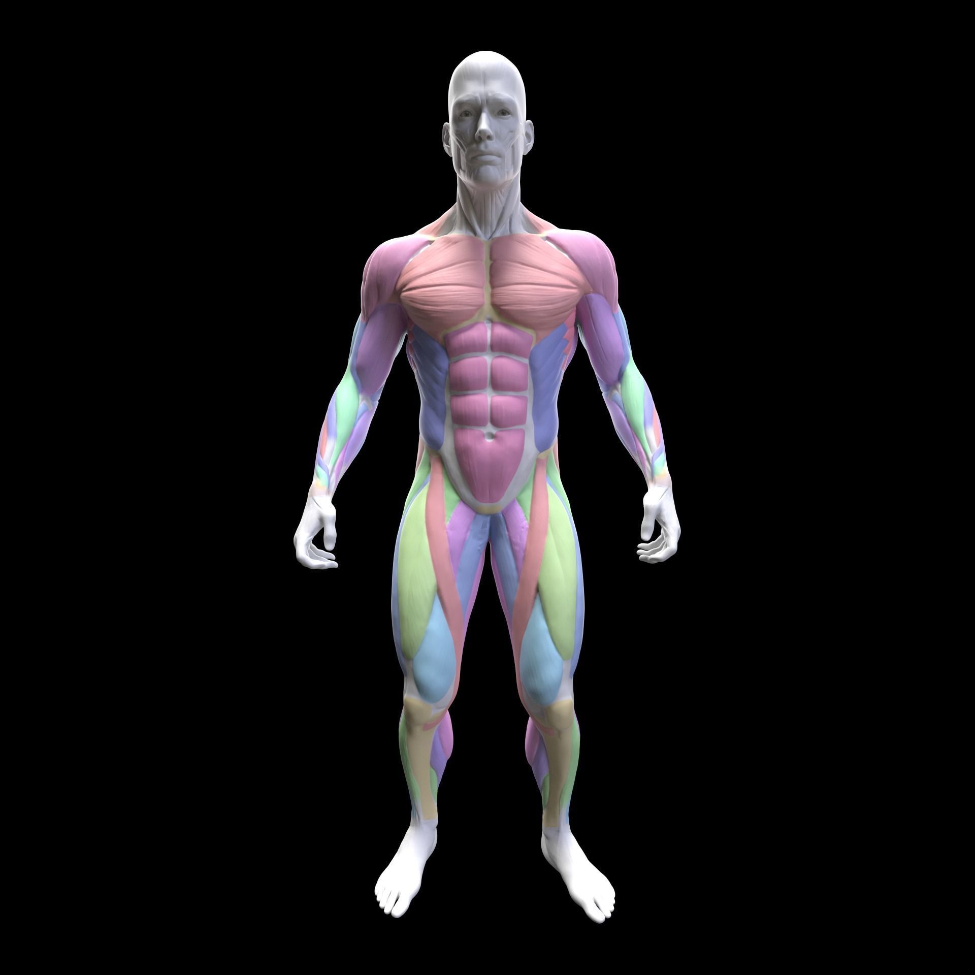Gym Exercise Animations Pack 3D model_80