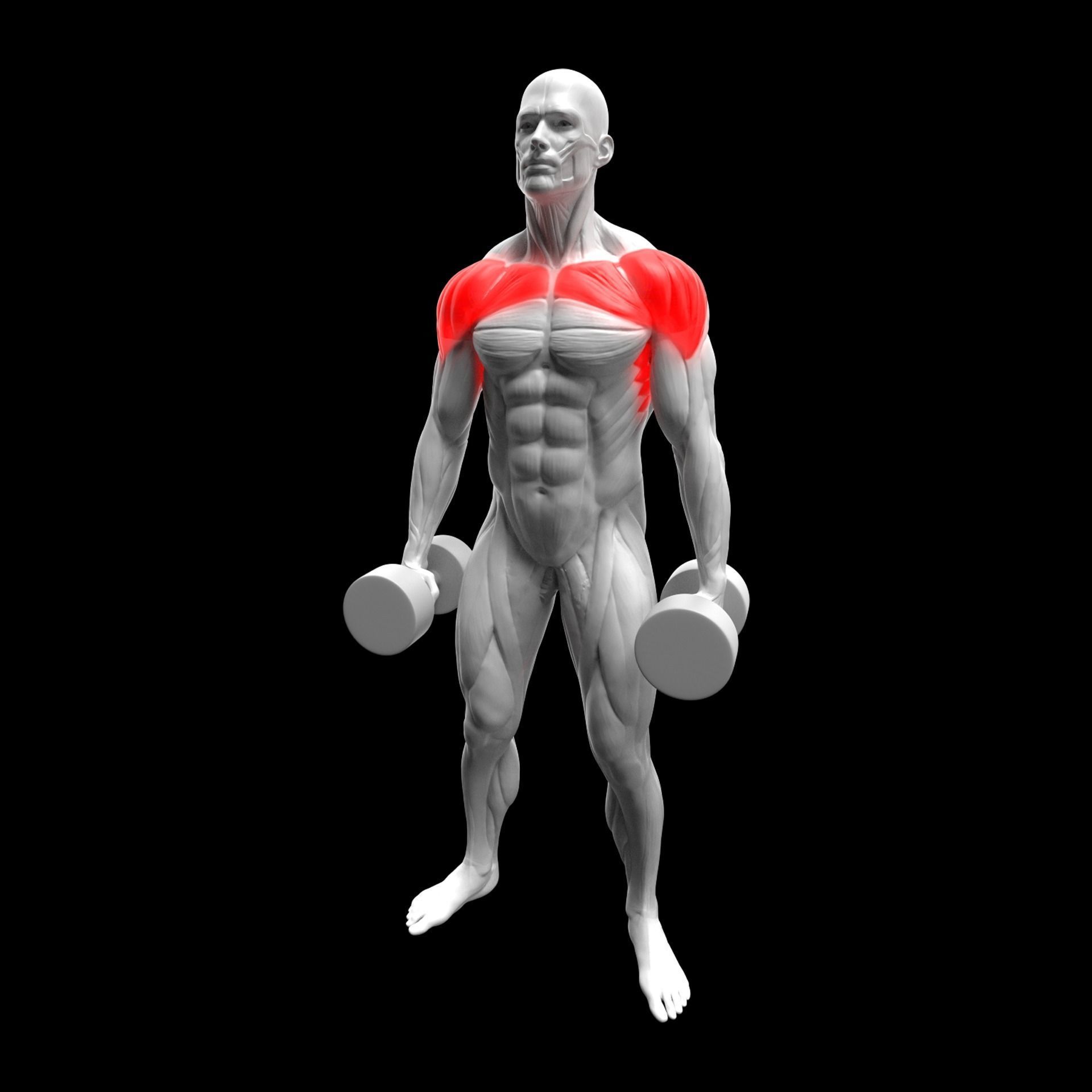 Gym Exercise Animations Pack 3D model_64