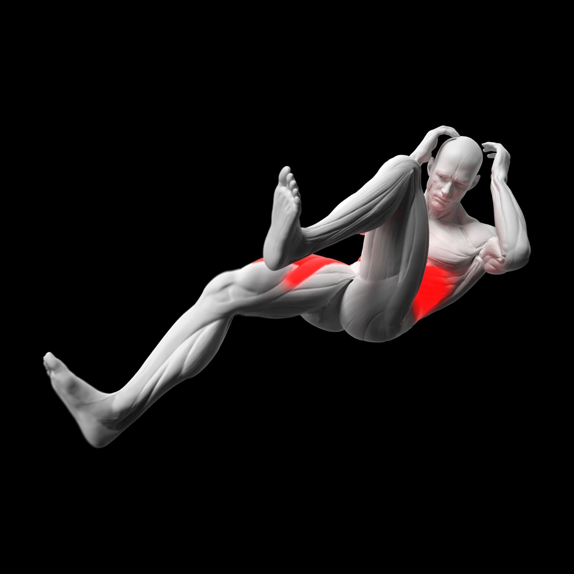Gym Exercise Animations Pack 3D model_74
