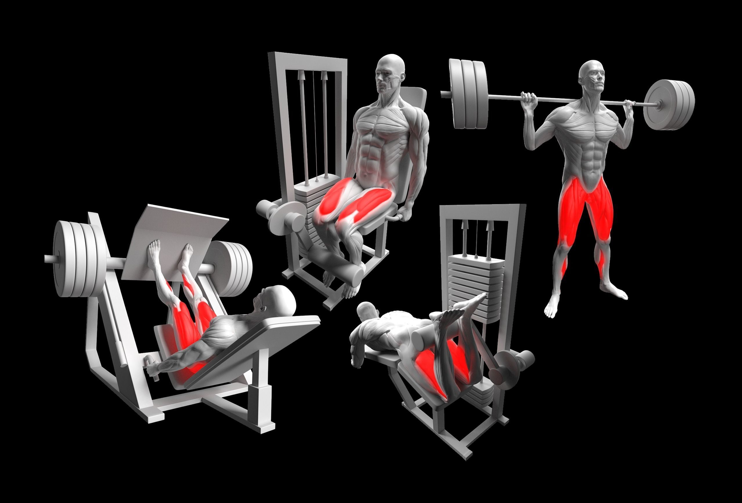 Gym Exercise Animations Pack 3D model_26