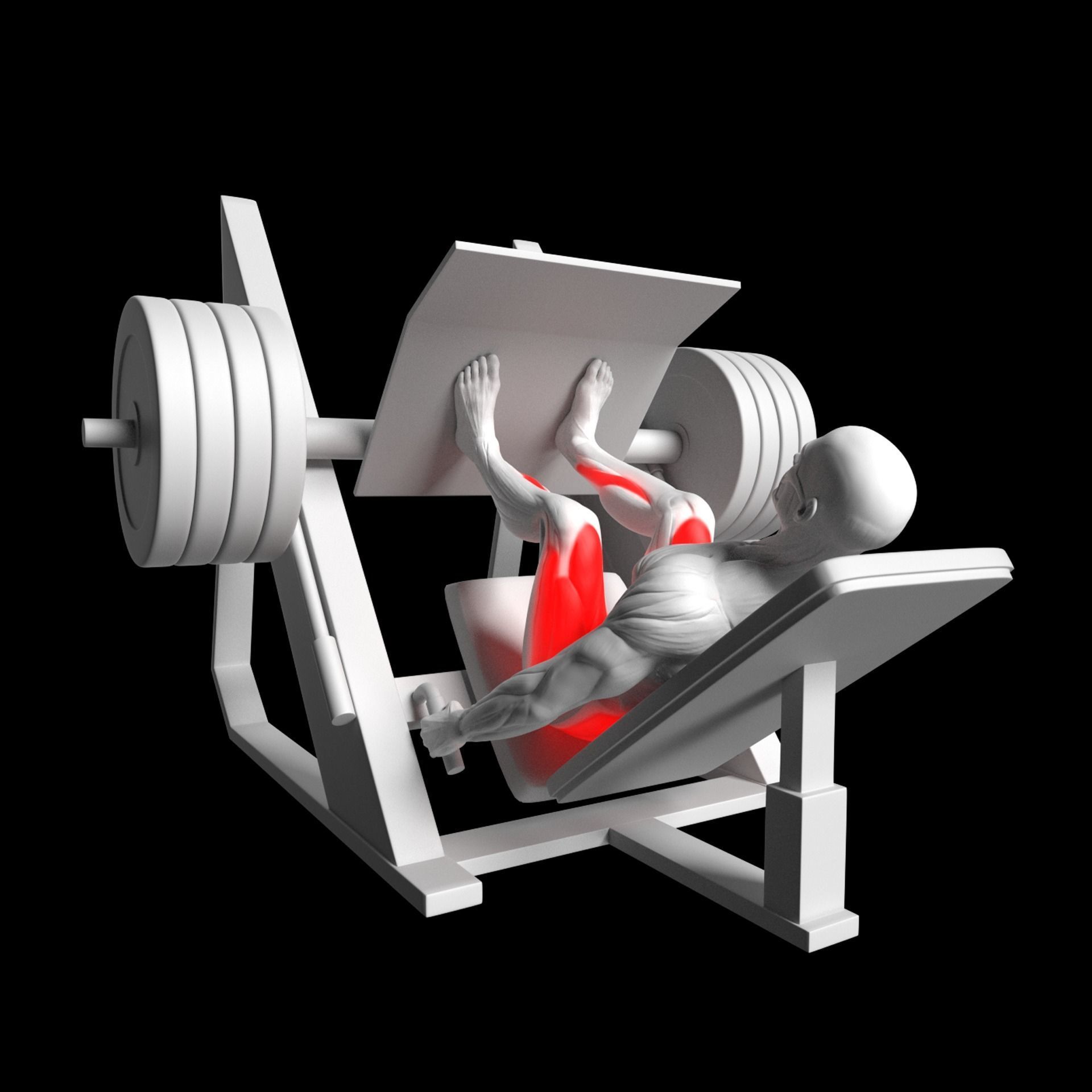 Gym Exercise Animations Pack 3D model_44