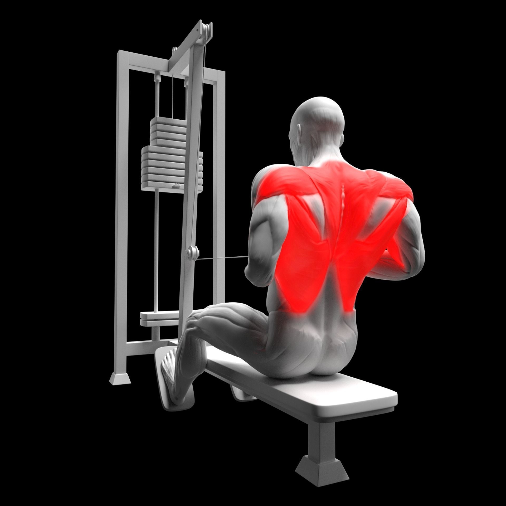 Gym Exercise Animations Pack 3D model_53