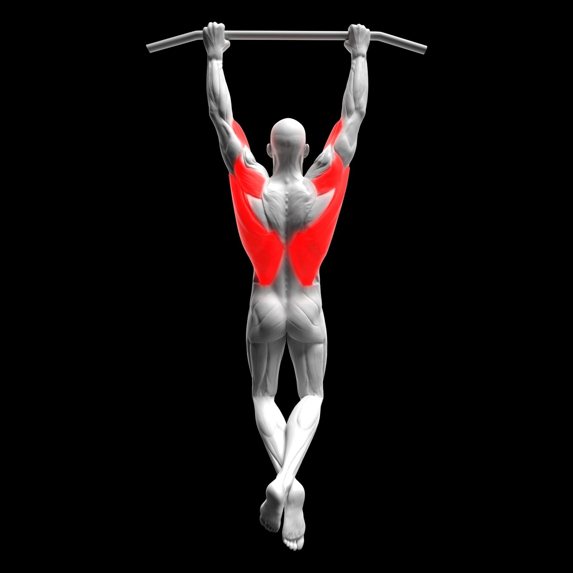 Gym Exercise Animations Pack 3D model_48