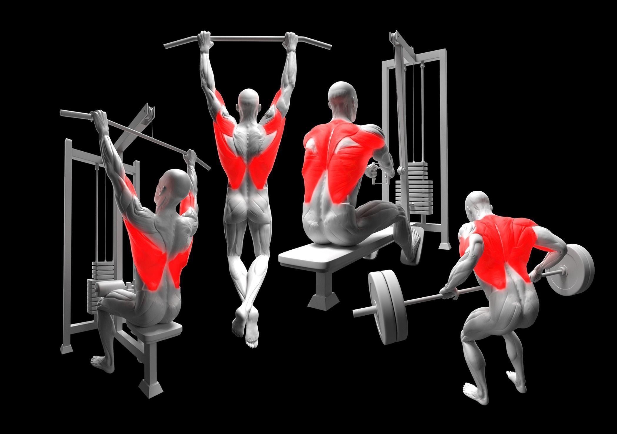 Gym Exercise Animations Pack 3D model_27