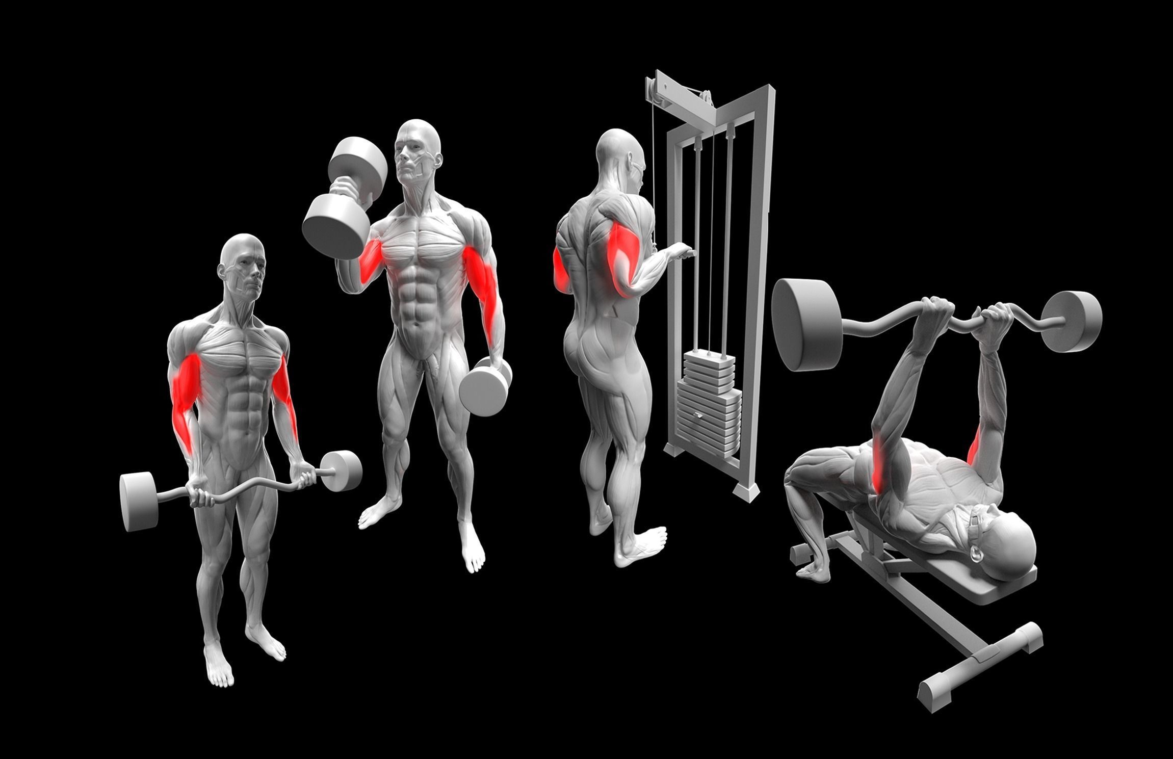 Gym Exercise Animations Pack 3D model_25