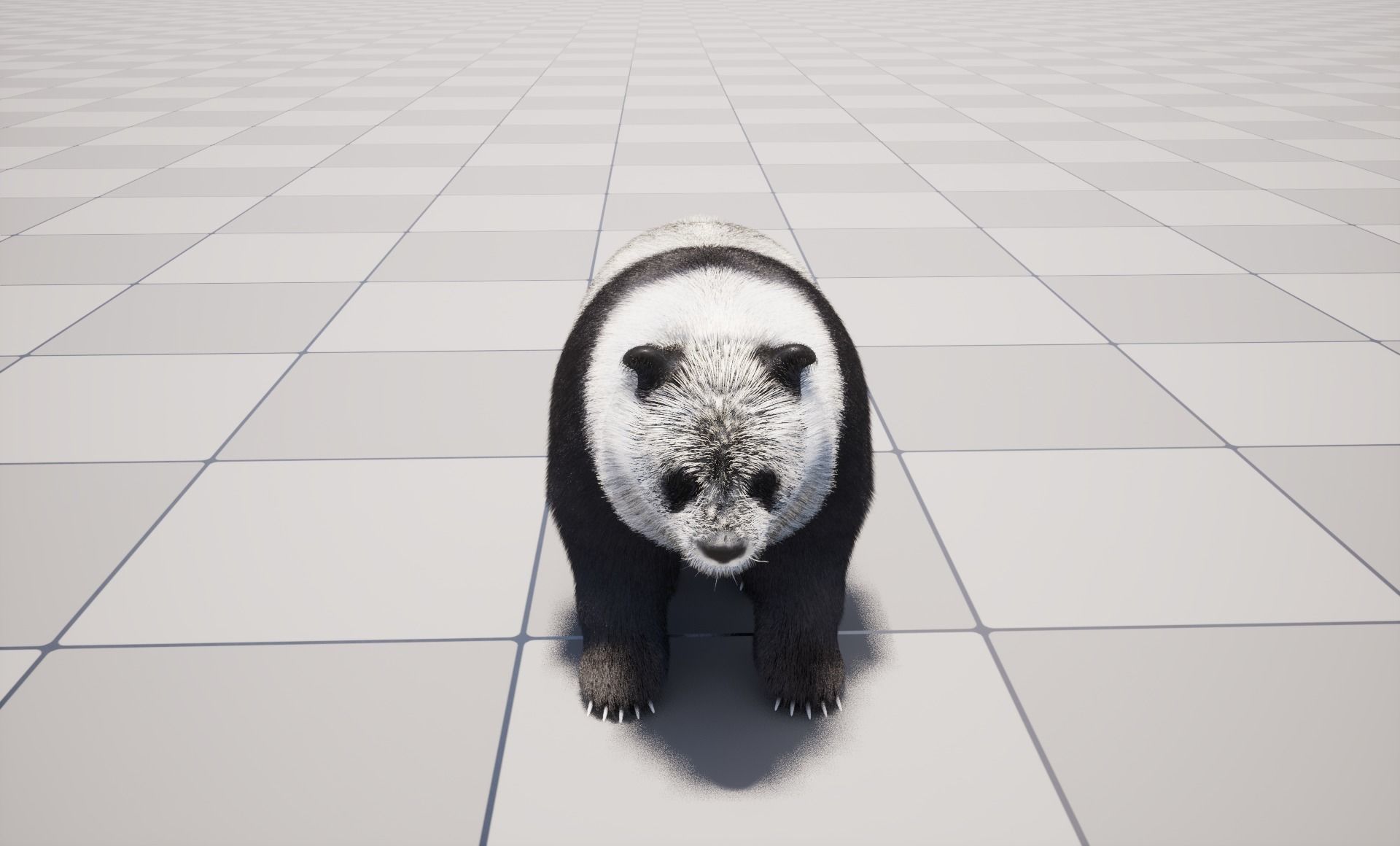 UE5 Giant Panda Rigged Fur Low-poly 3D model_7